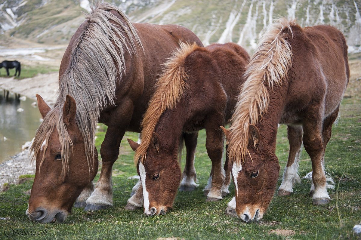 Campo Imperatore