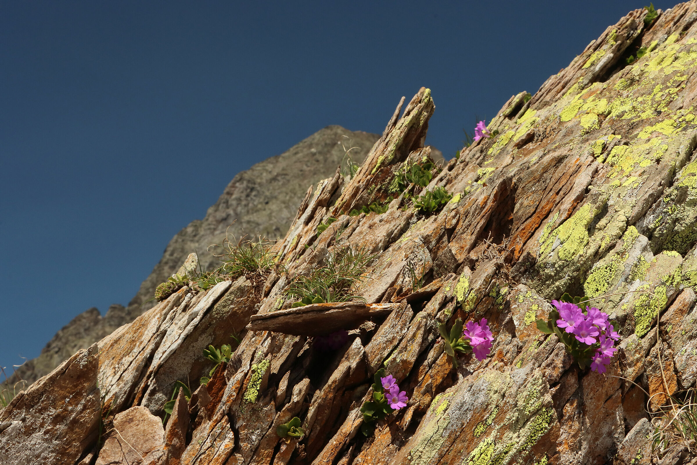 sulle rocce della Cerviera