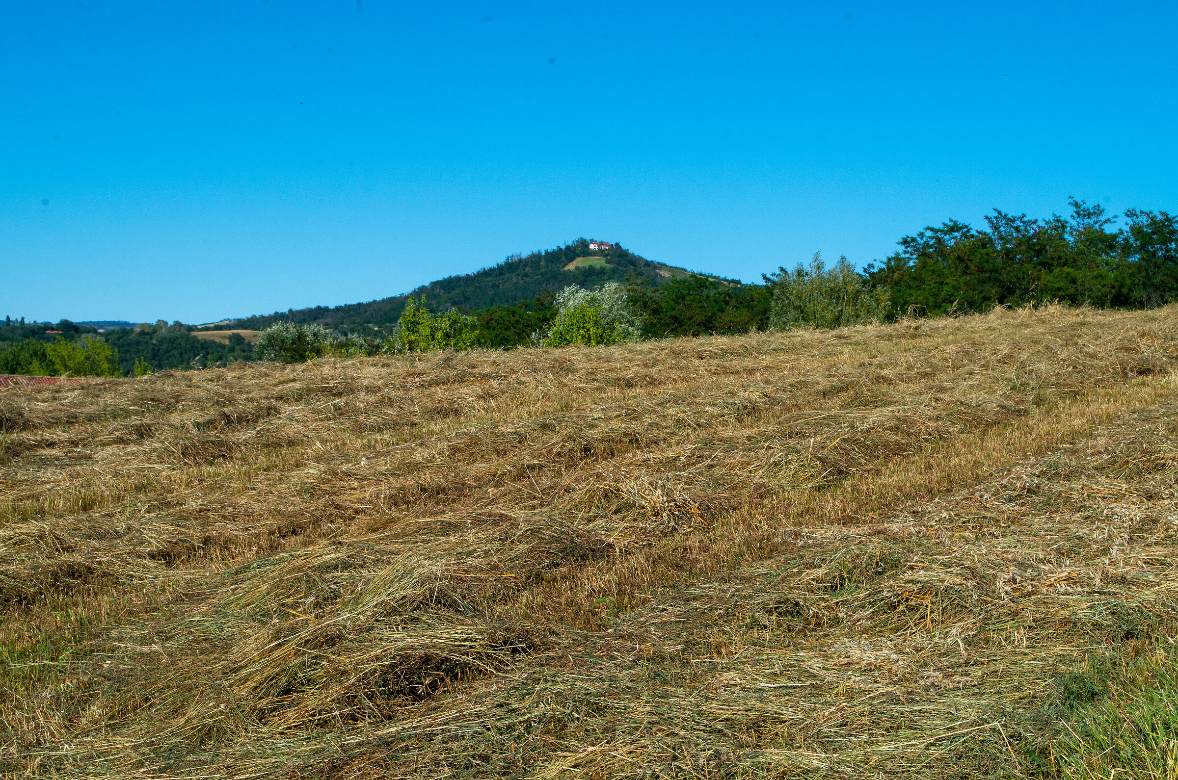 The house on the hill