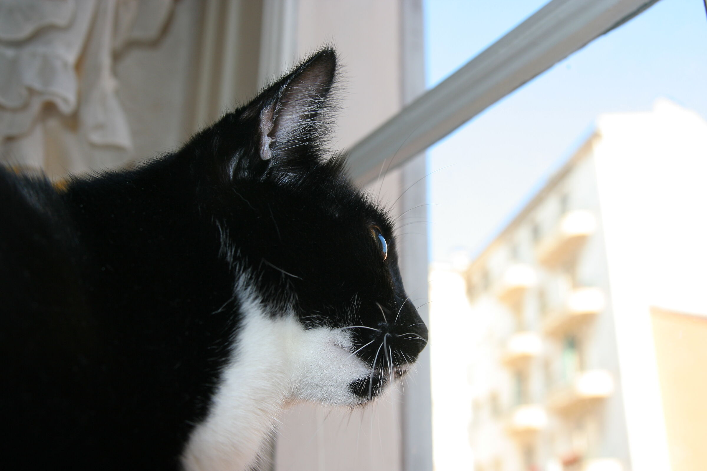 external observation