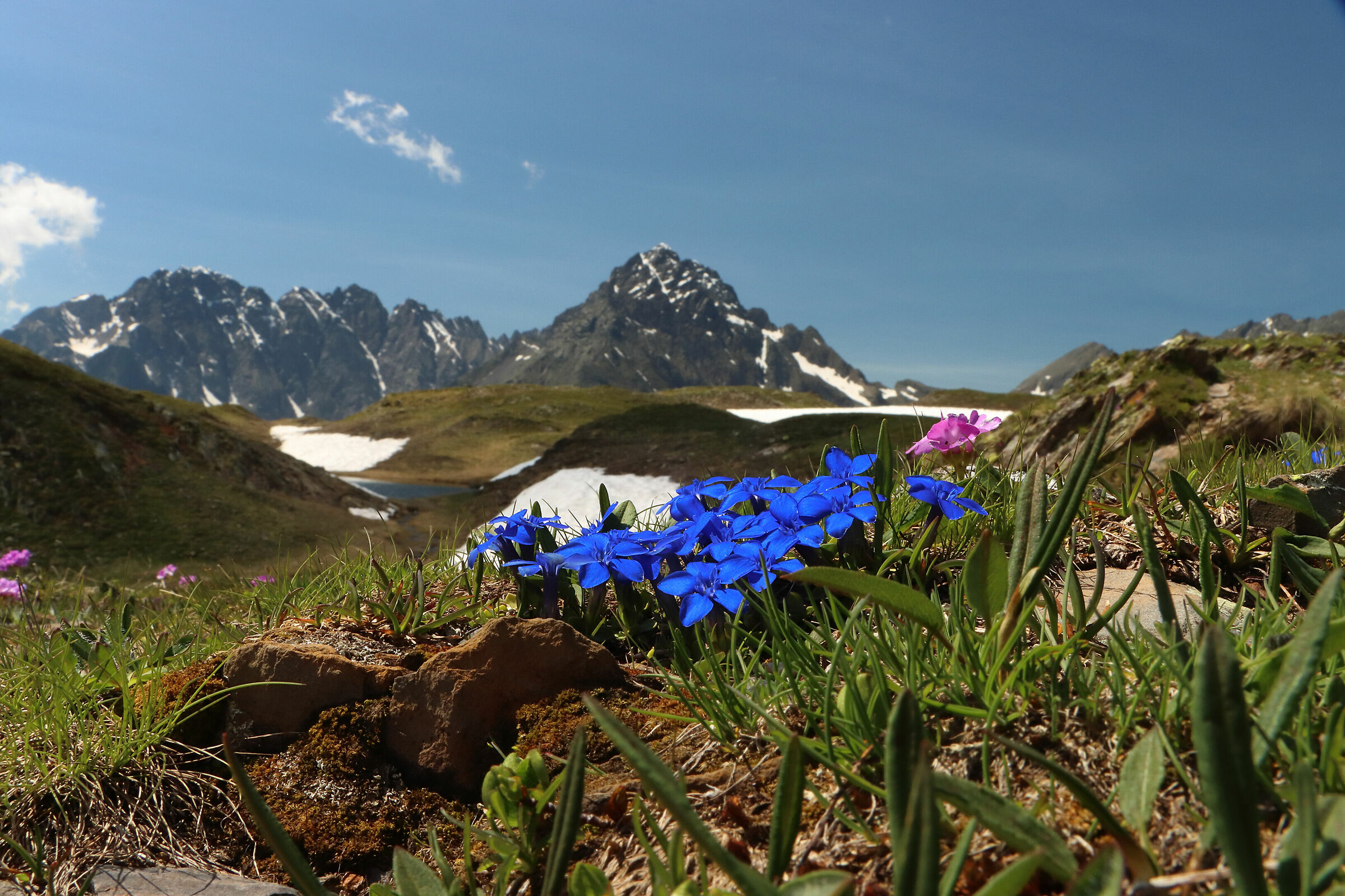 il blu della Cerviera