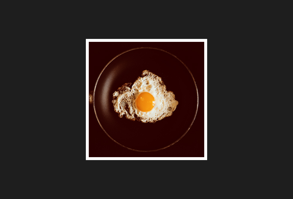 ox-eye egg, 2019
