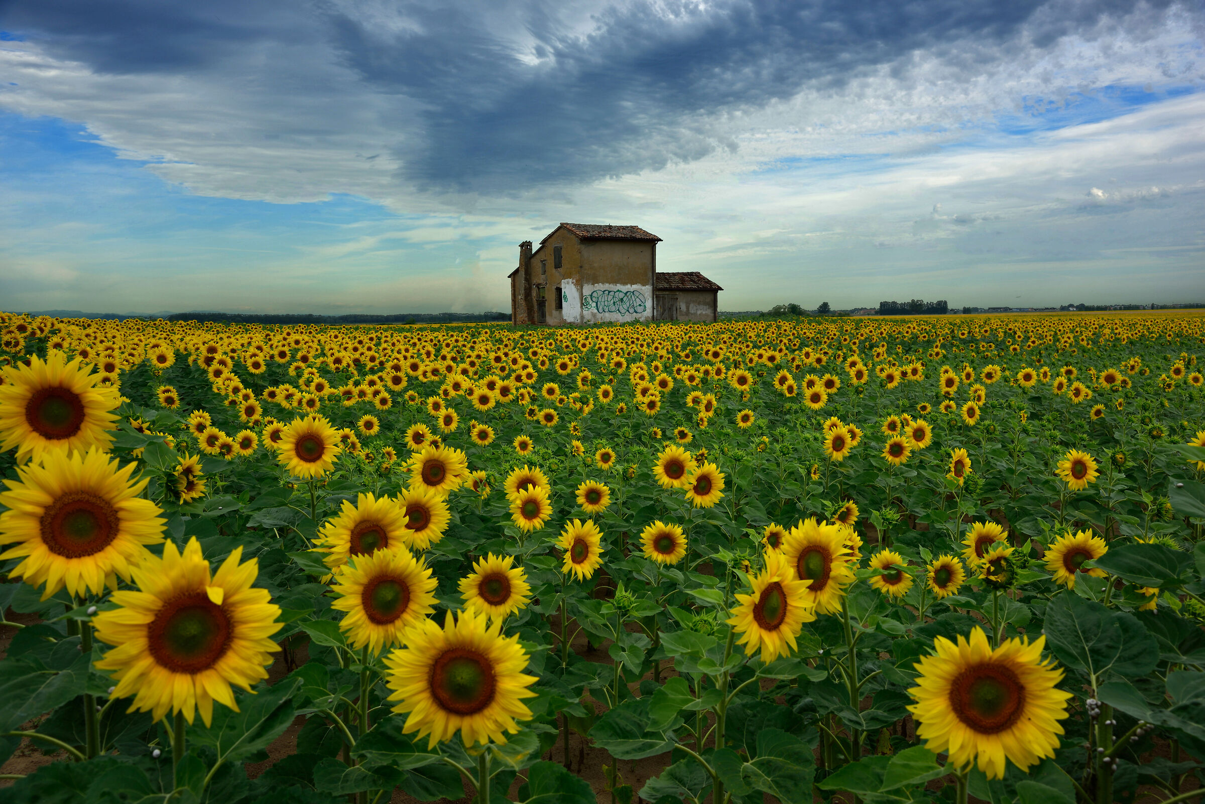 Per il sole pregasi ripassare.