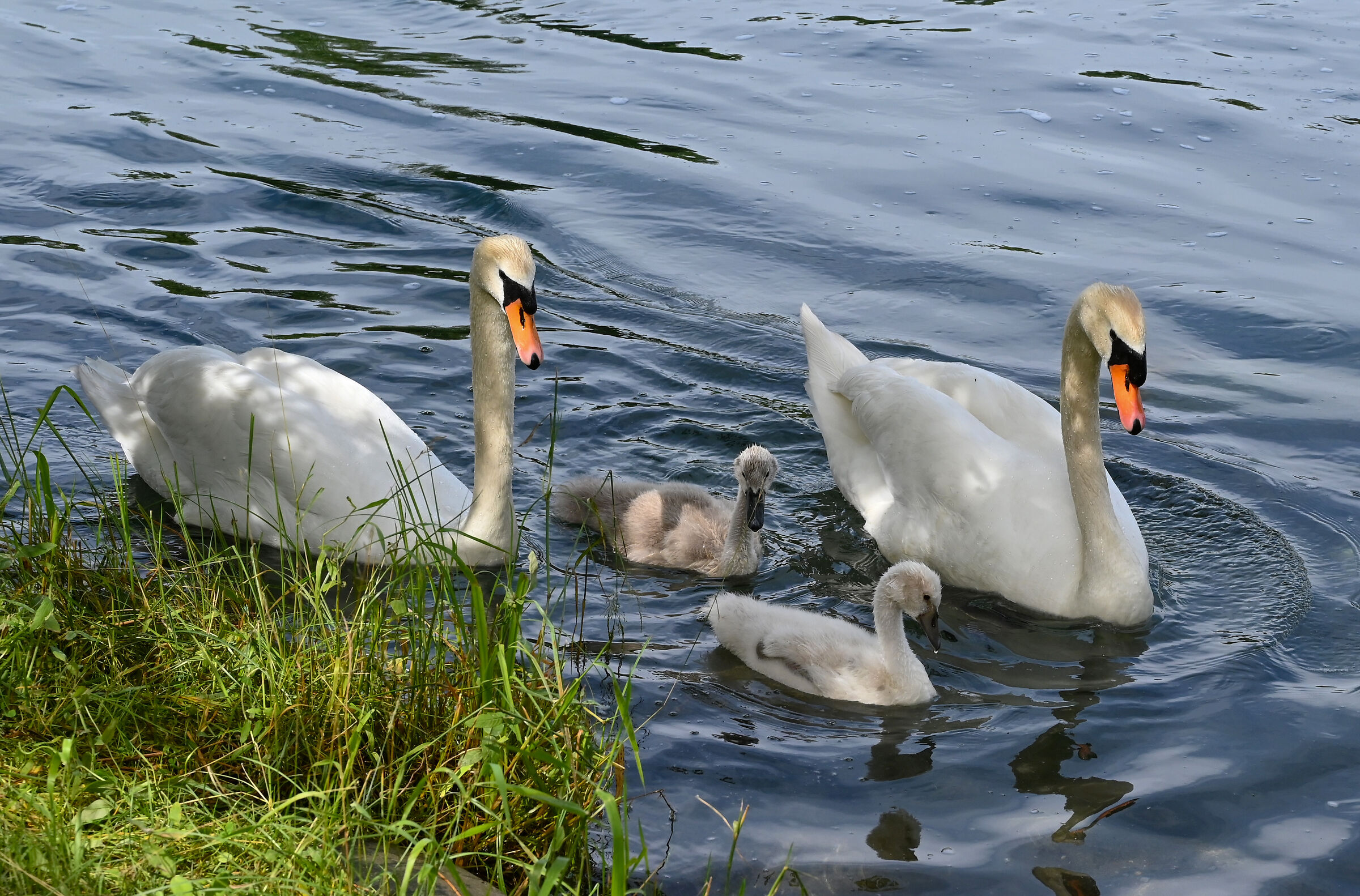 Famigliola a passeggio