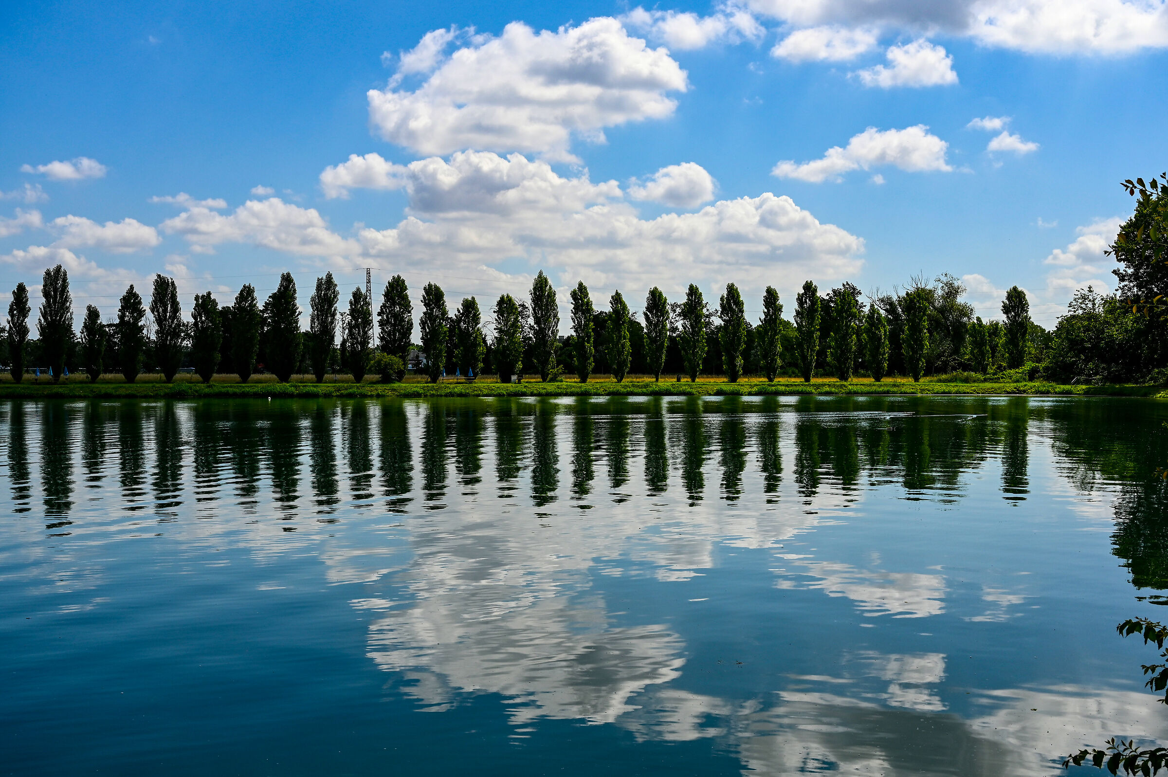Milano-Lago dei Cigni