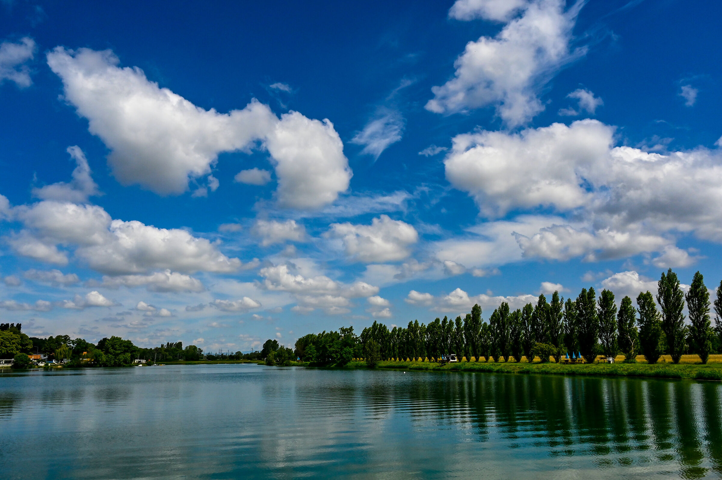 Milano-Lago dei Cigni 2
