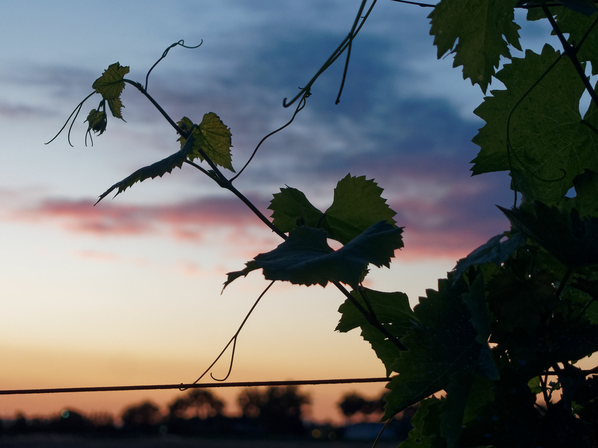 Tramonto in polesine