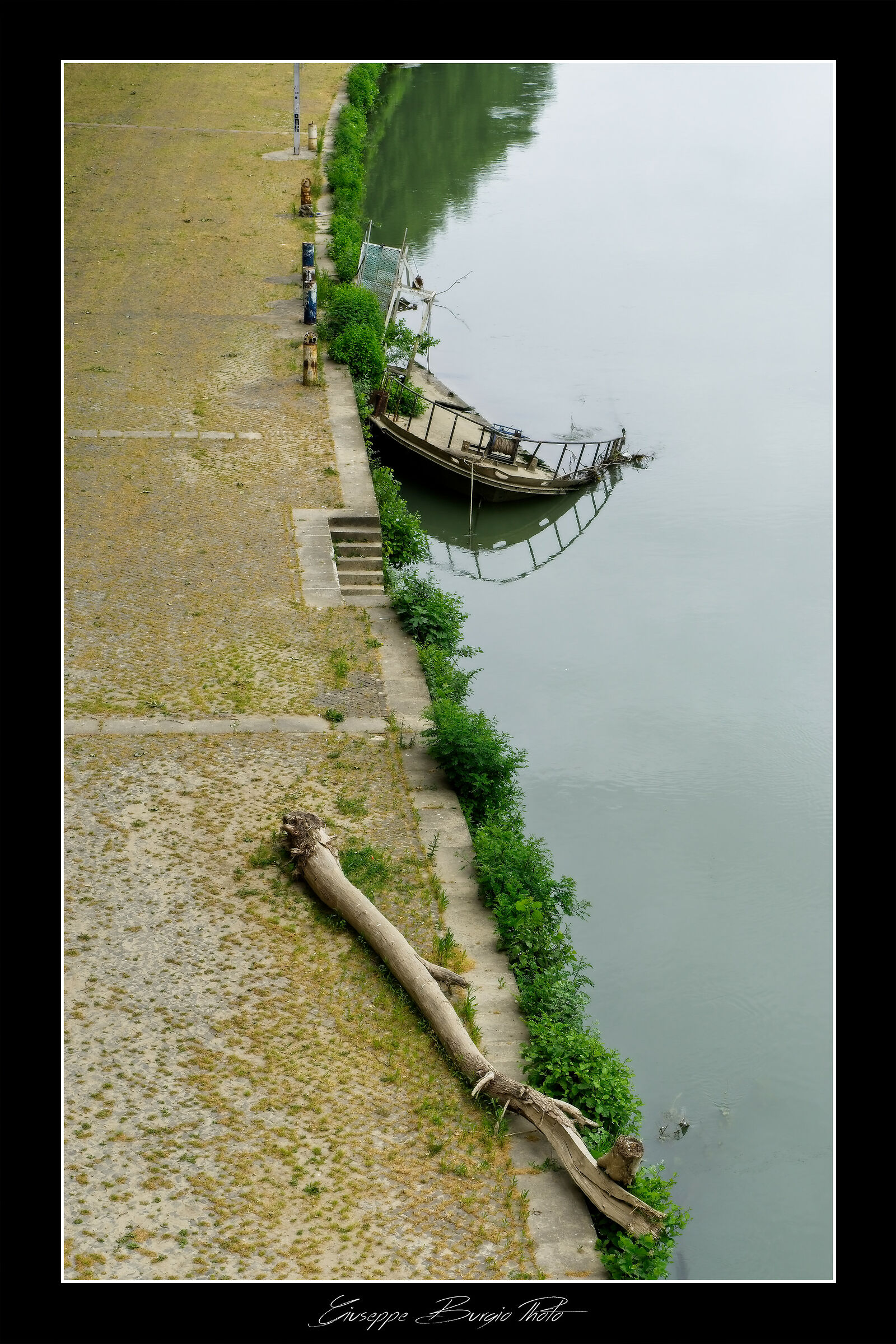 The trunk, the river and the wreck