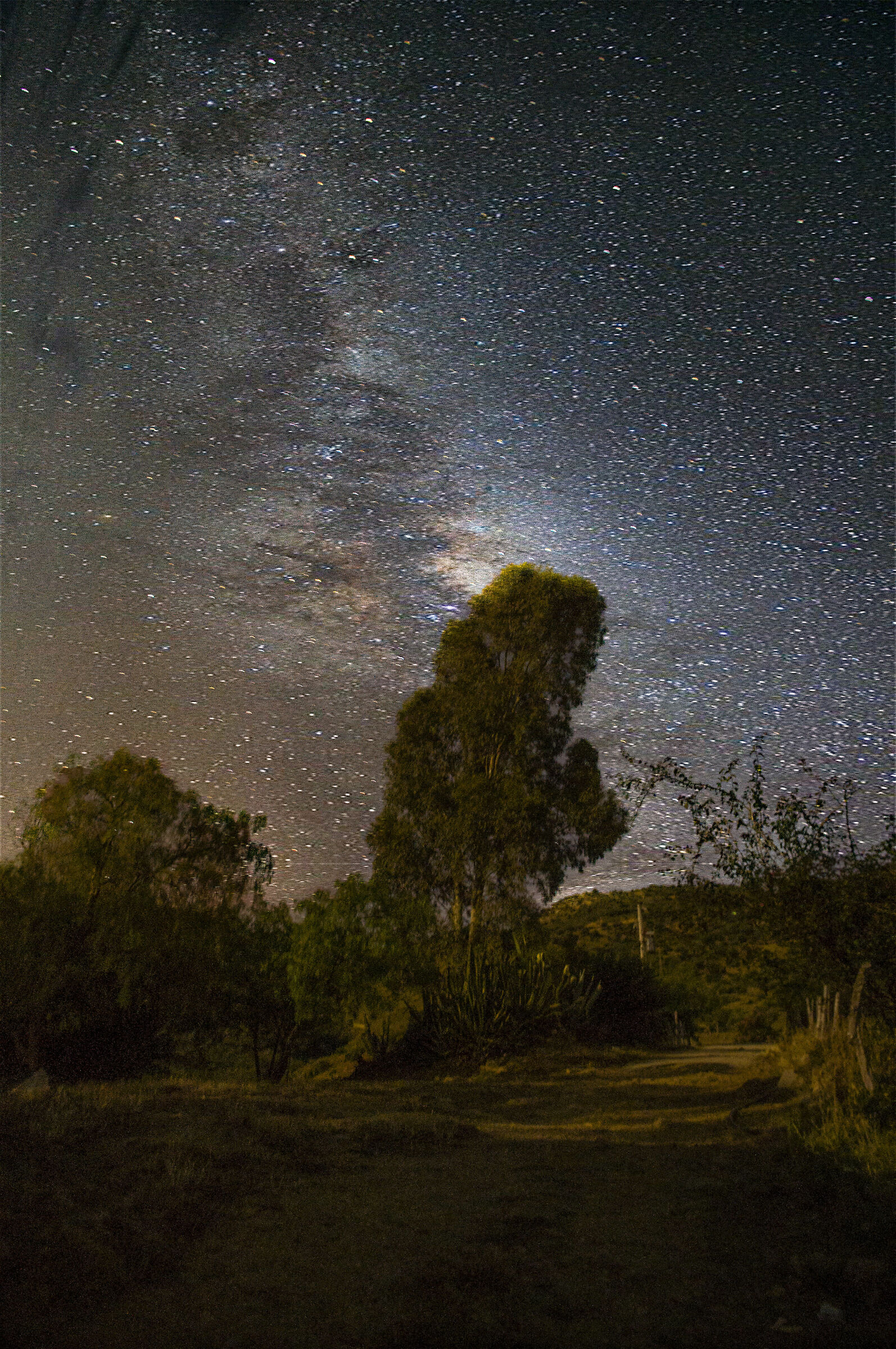 La via lattea di casa mia