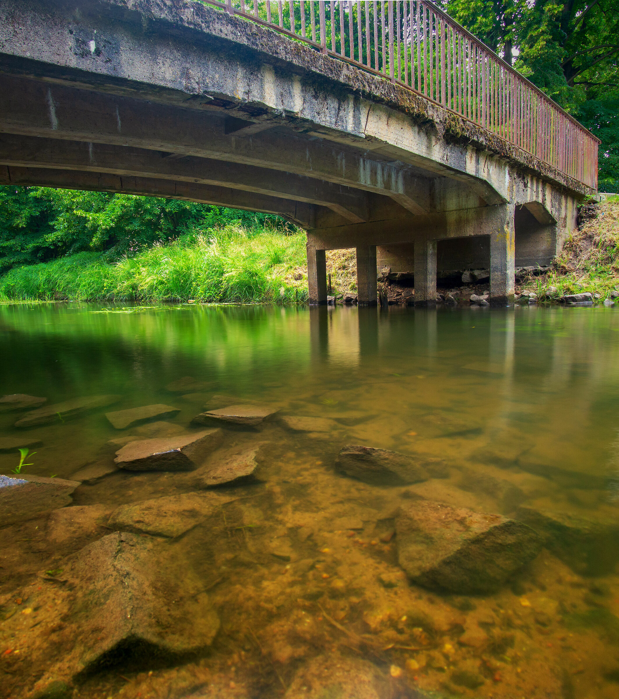 River in the park