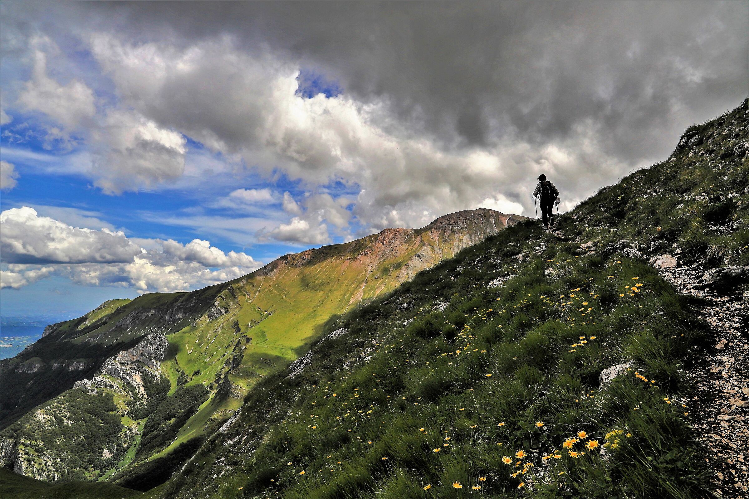 Quattro passi tra le nuvole