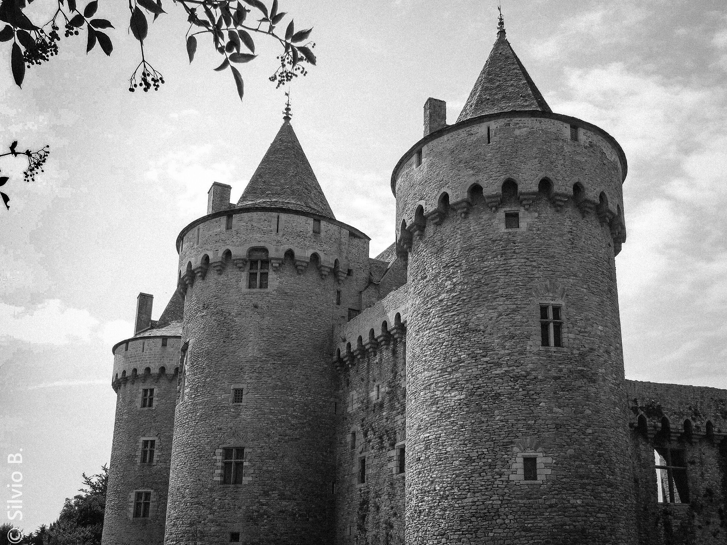 Suscinio Castle-Brittany