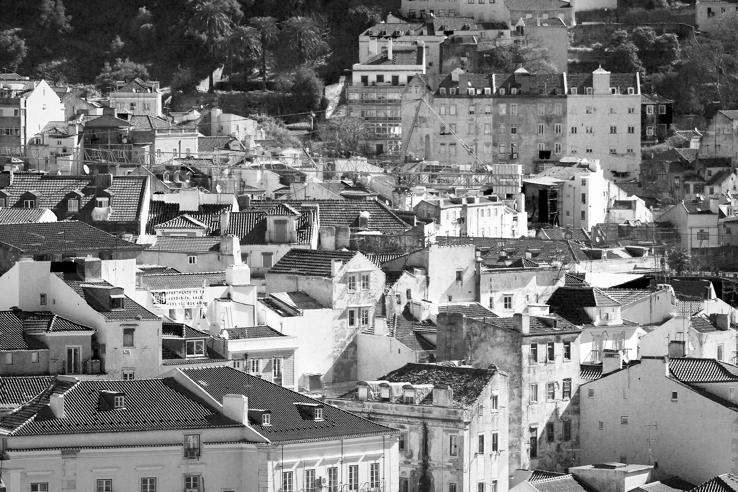 Lisbona