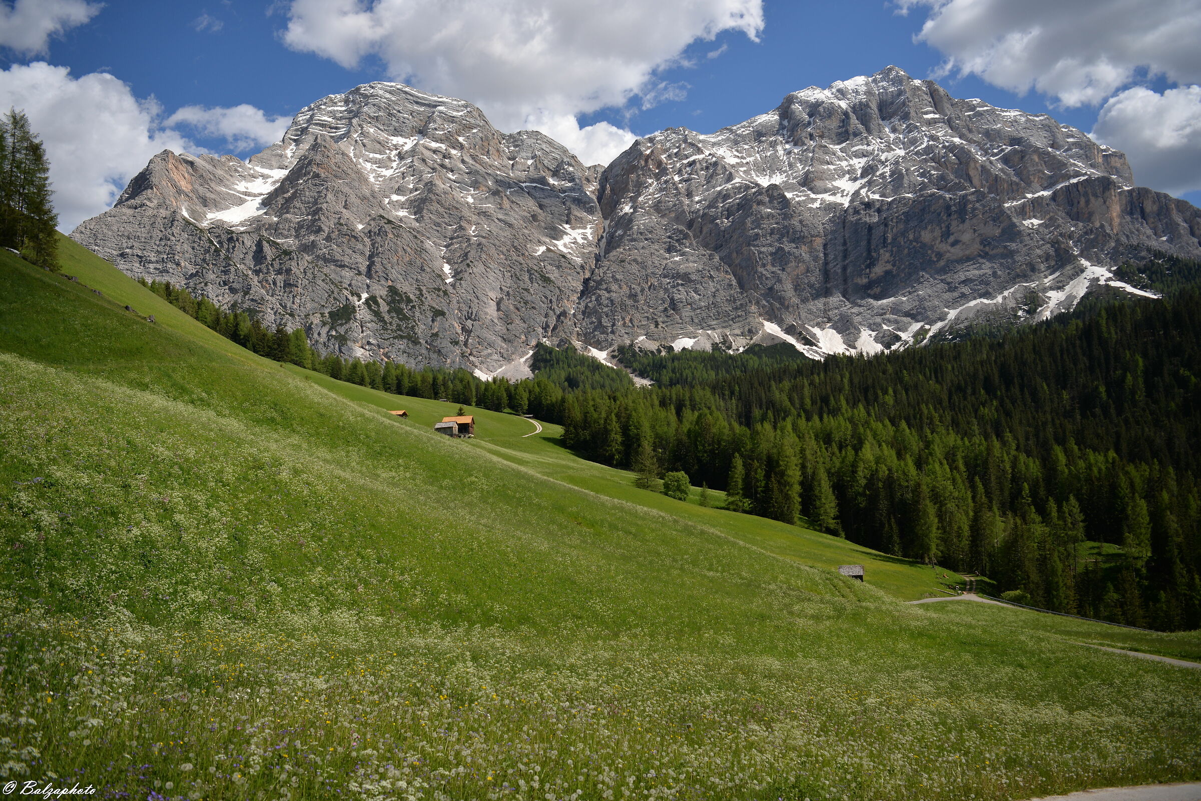 La Valle in Val Badia prati in fiore
