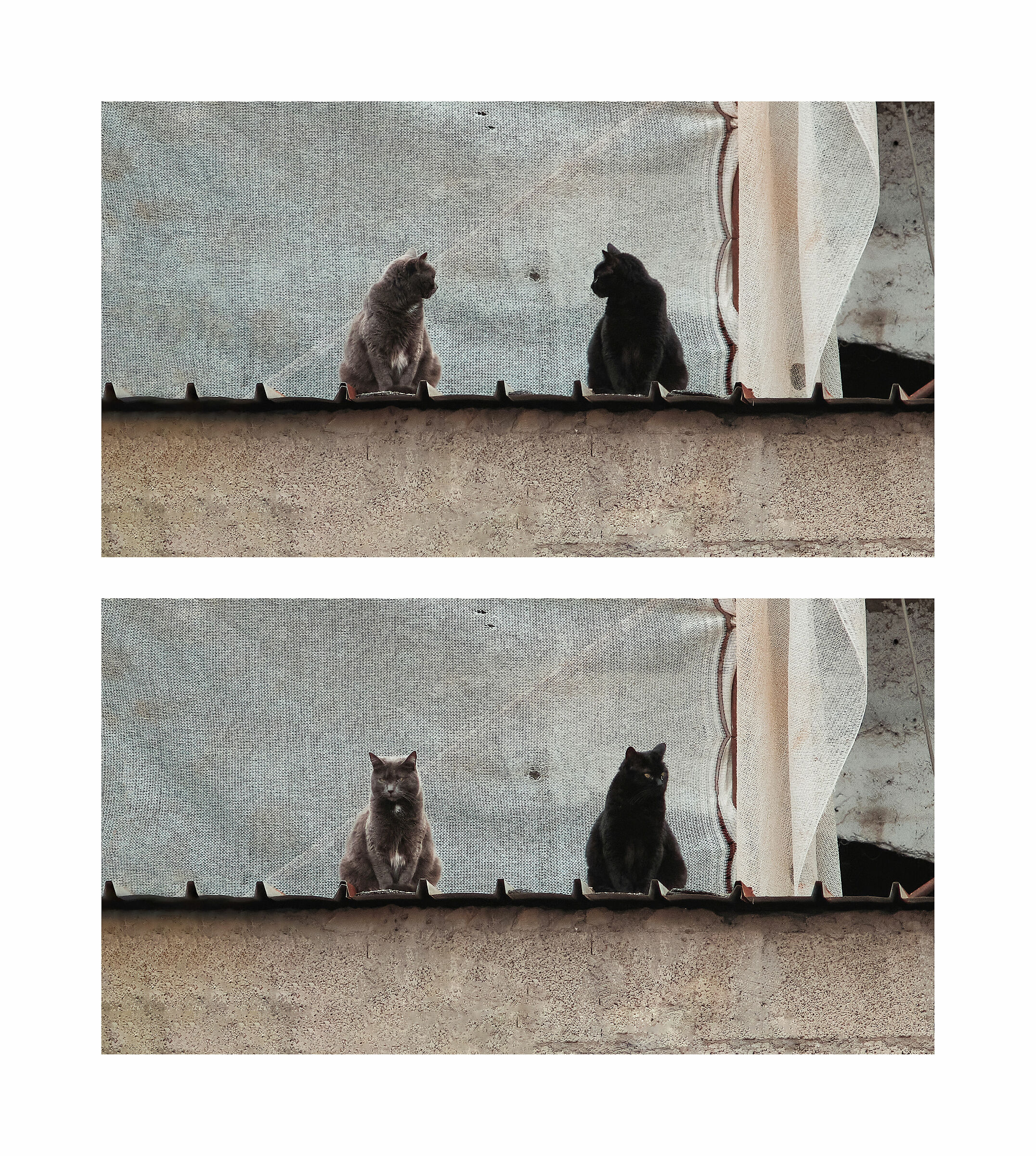 Incomunicabilità