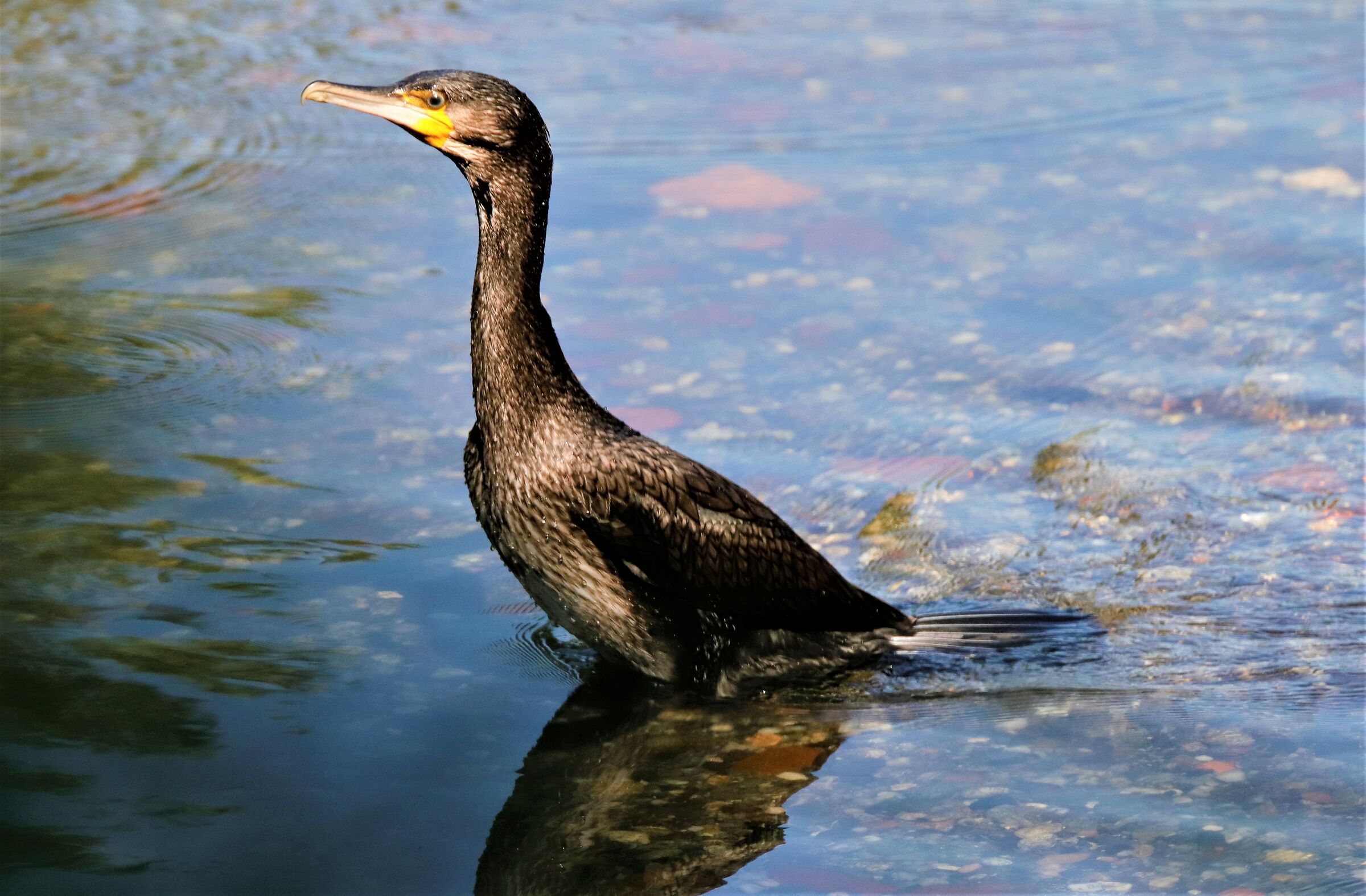 rejuvenating bathroom!
