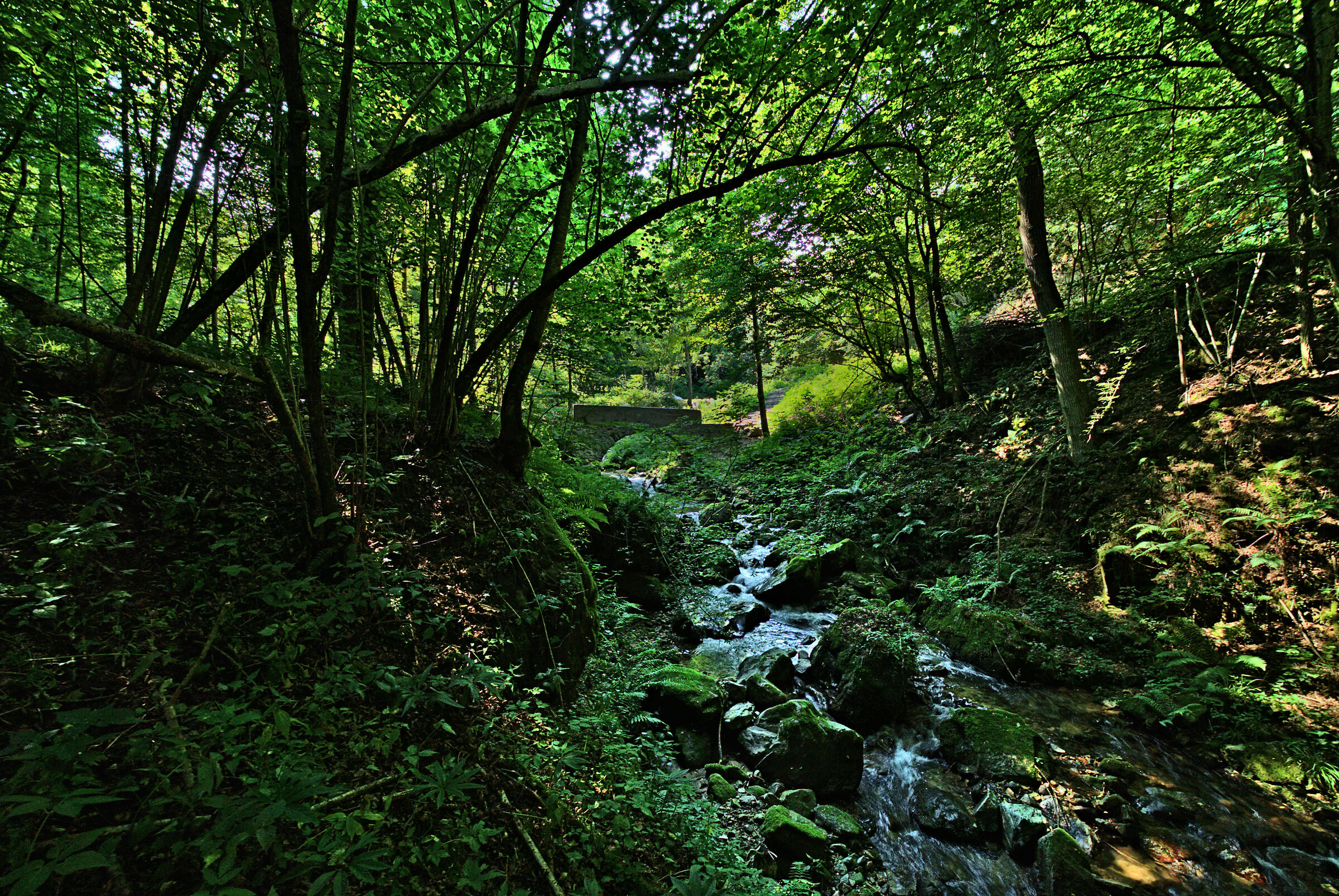 The Rio under the Bridge...