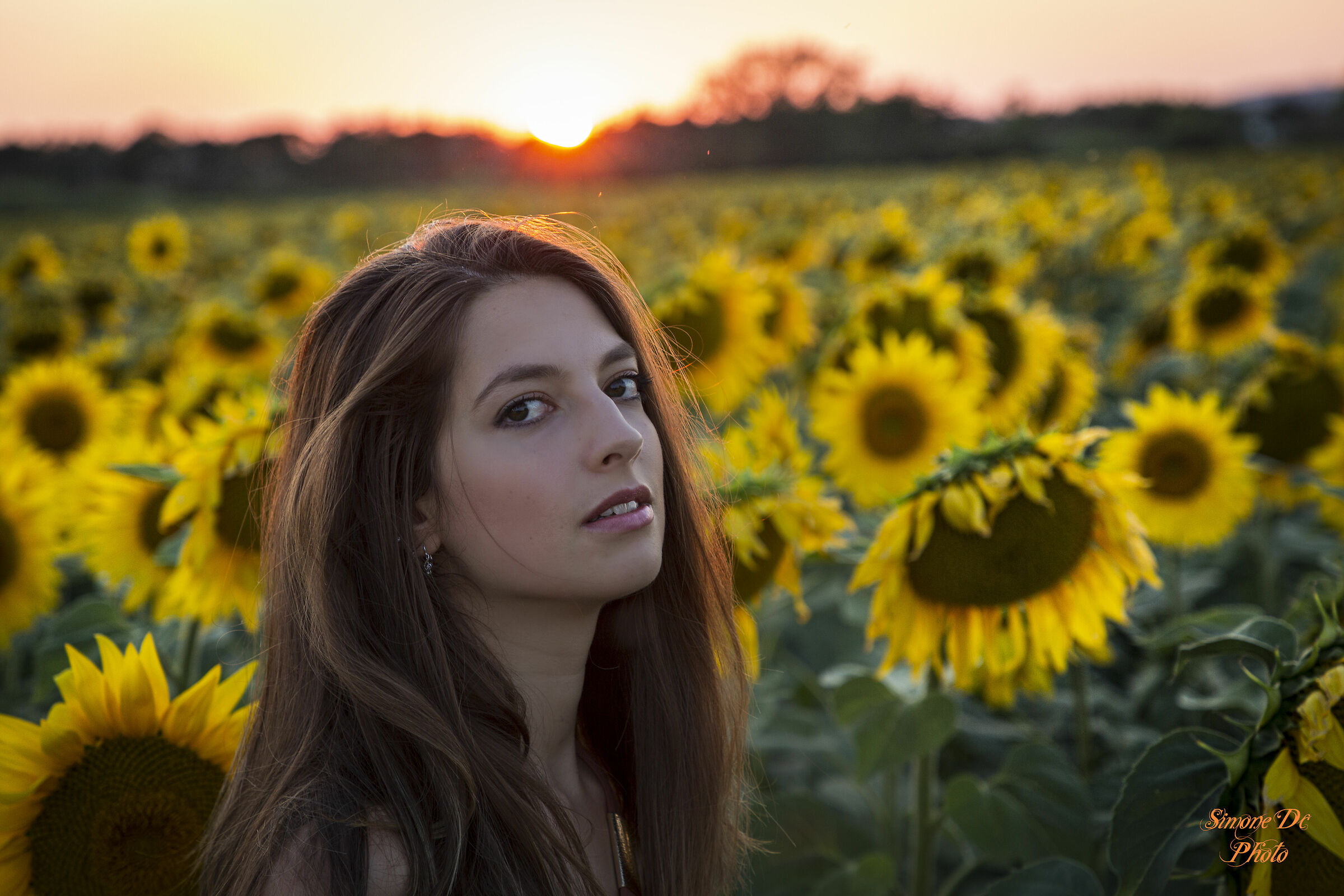 ritratto nei girasoli