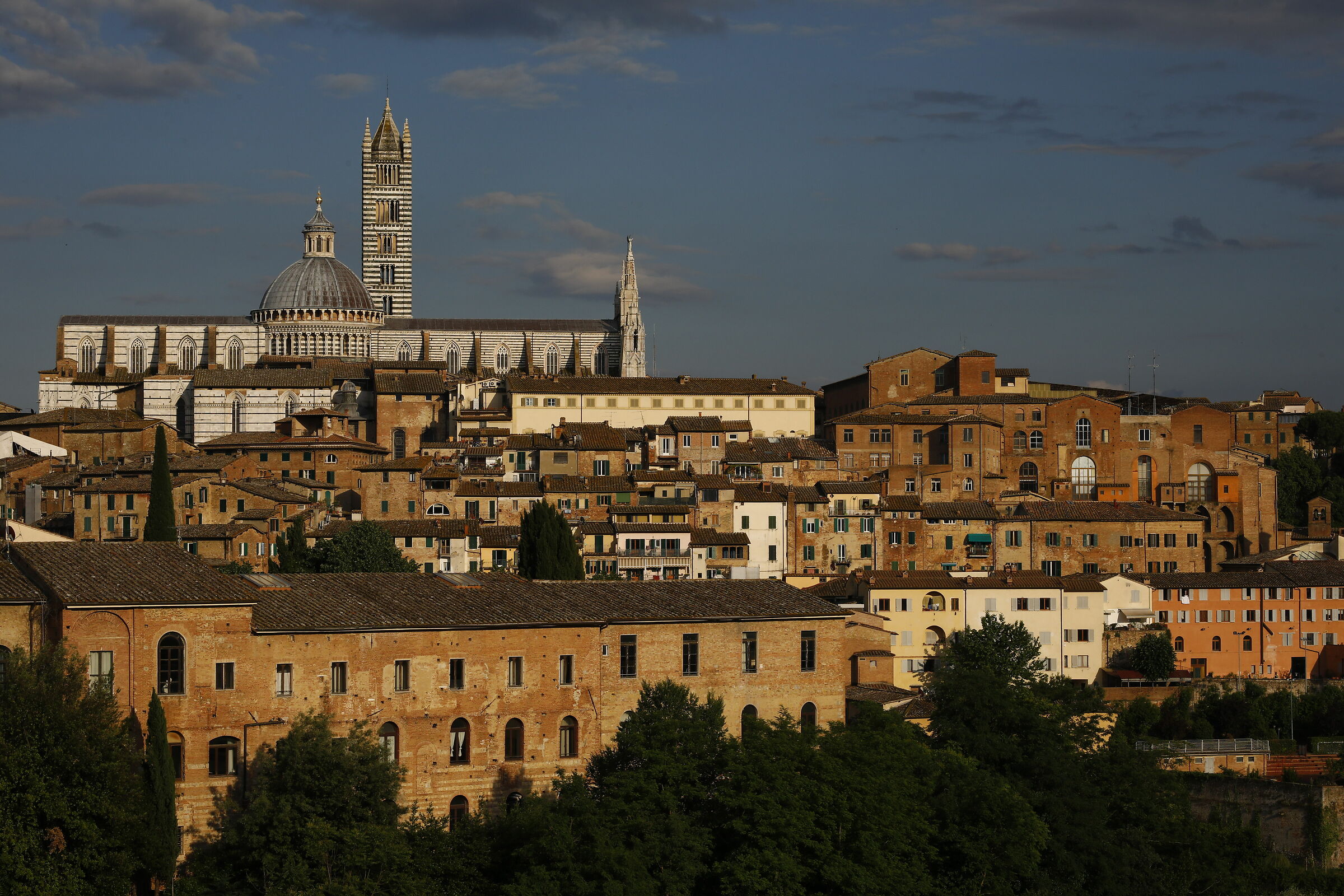 Siena