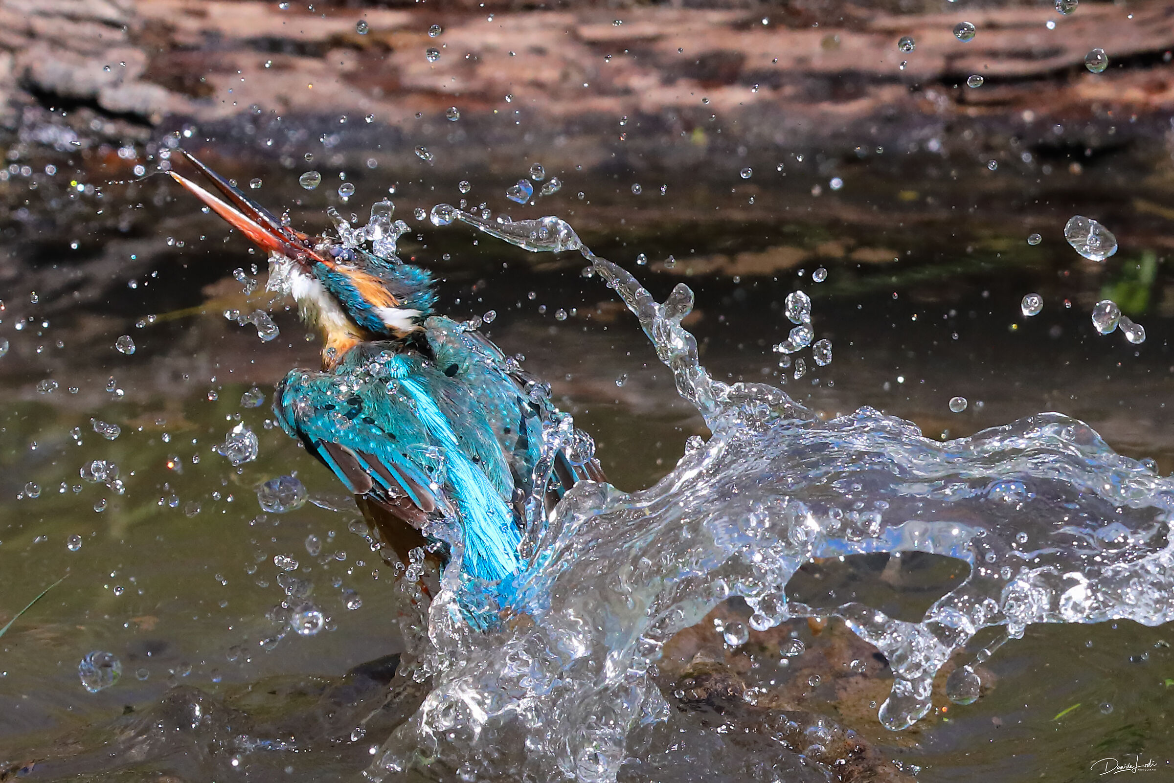 Martina makes mischies