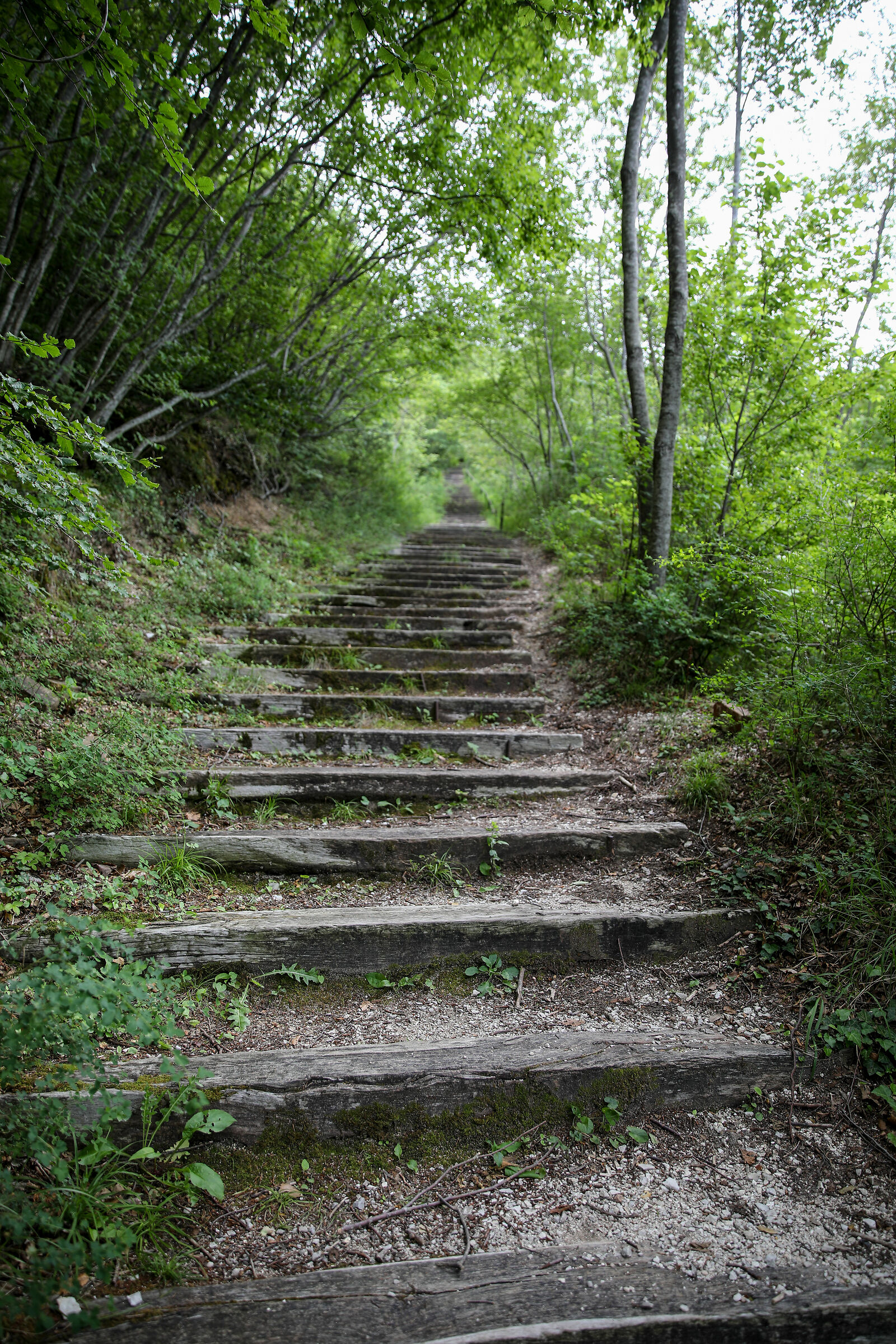 Hermitage Staircase of Santa Sperandia
