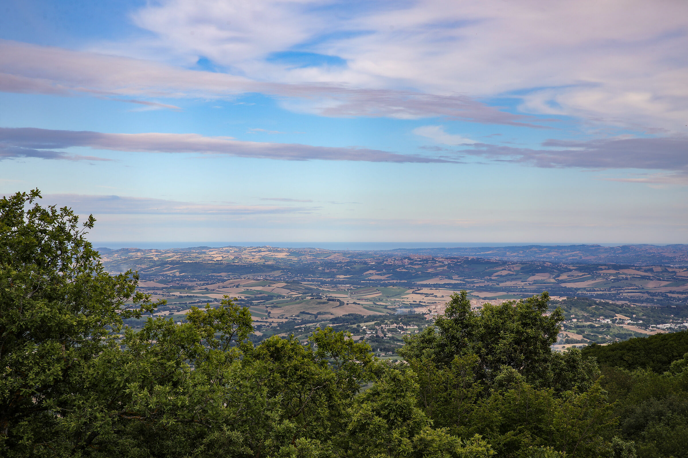 Panorama from the Heights of Tracks (MC)
