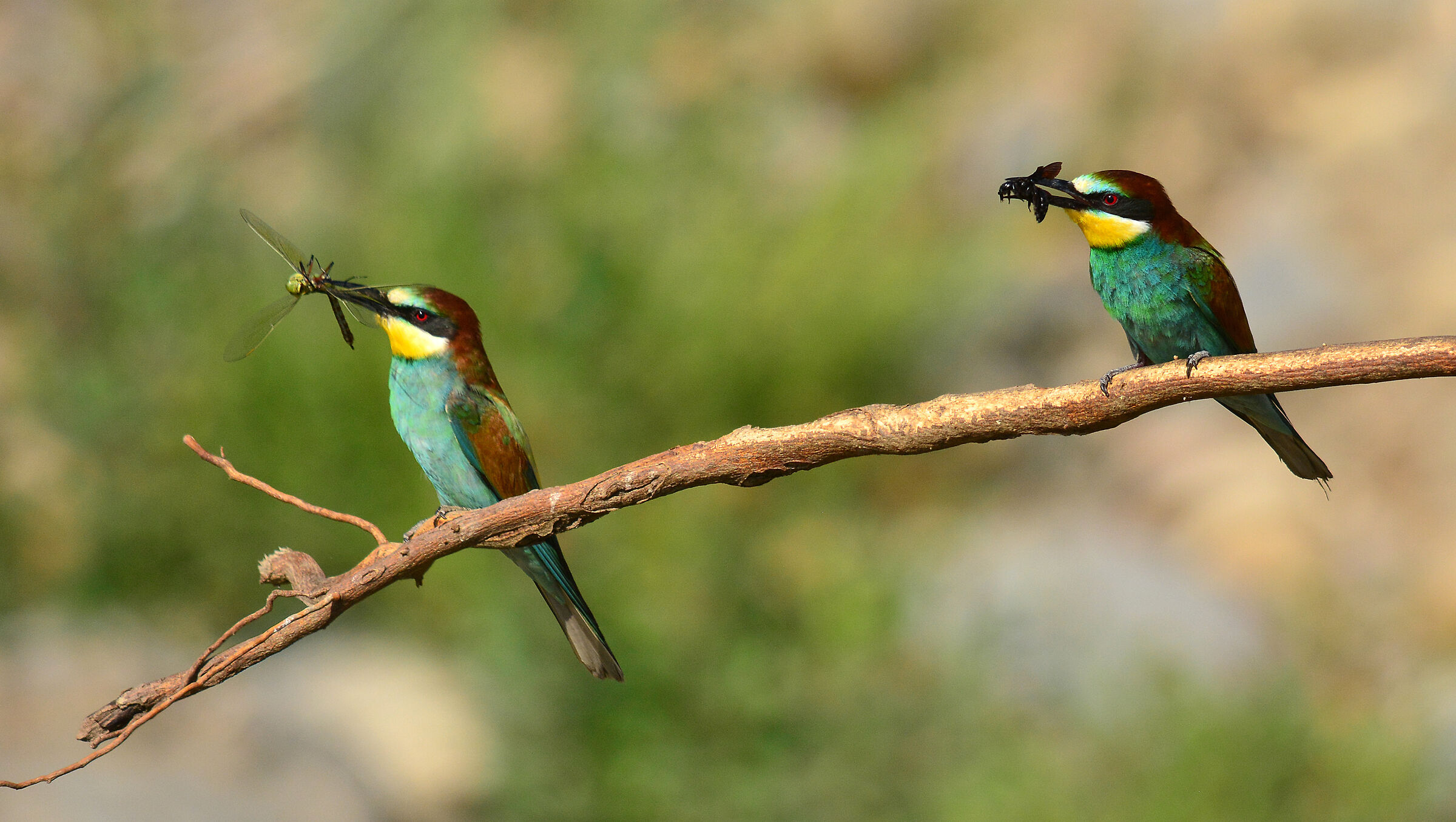 I thought I'd bring a nice present... and you see this ?!!