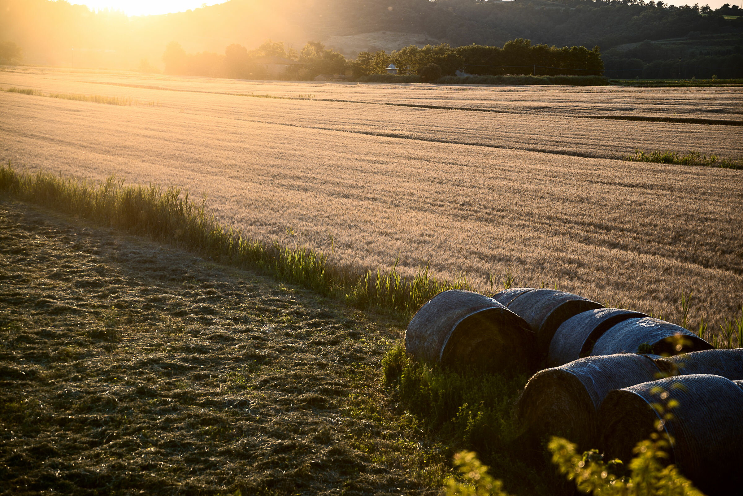 tramonto bassa val di chiana
