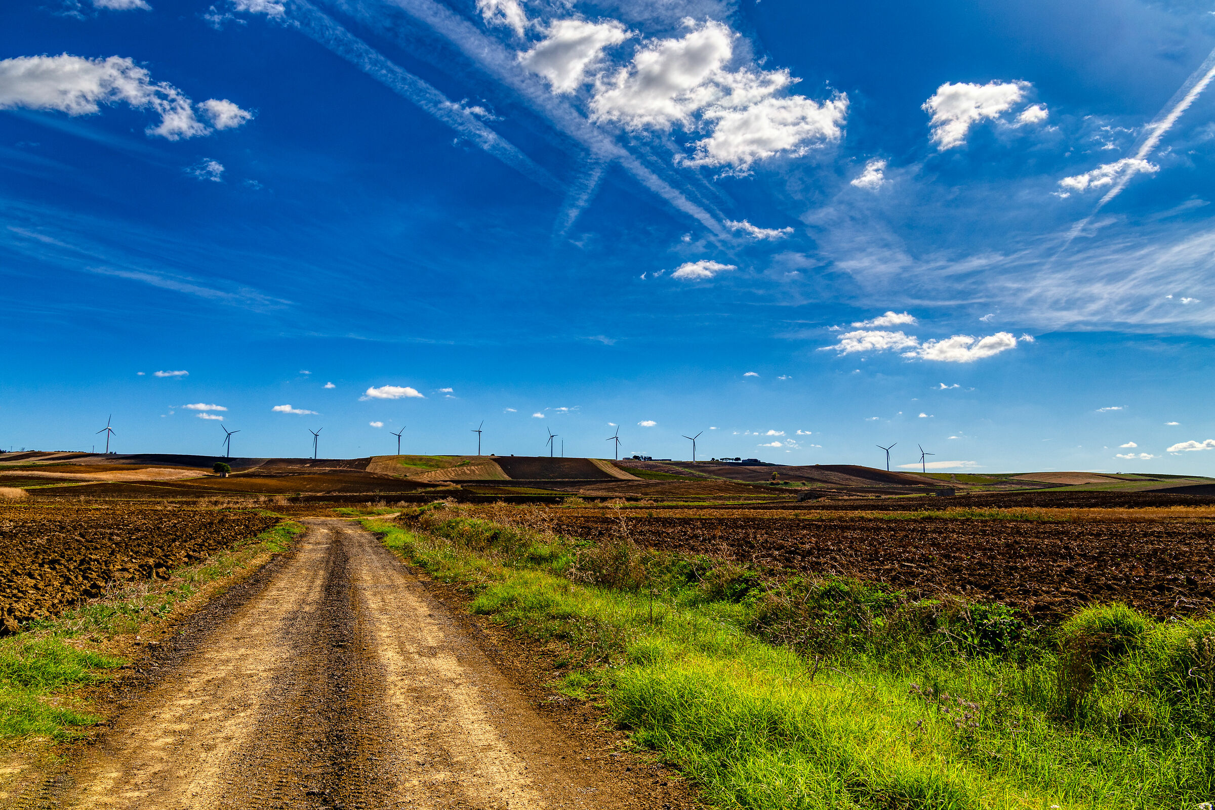 Campaign - Dactly (TP)