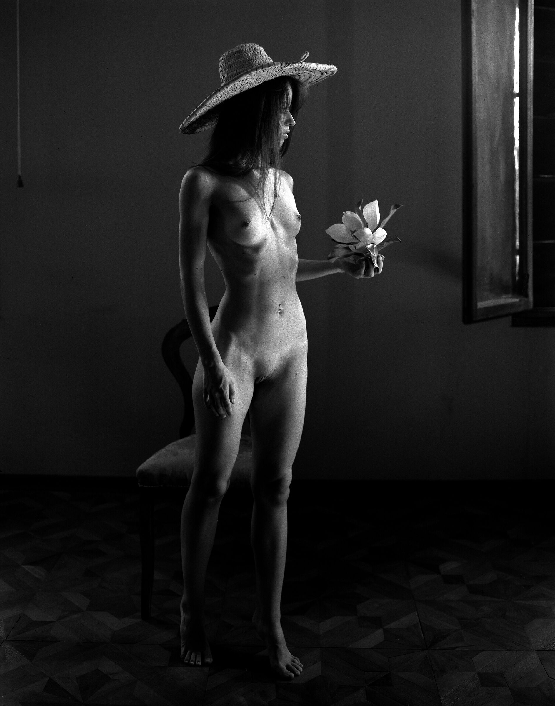Alla finestra