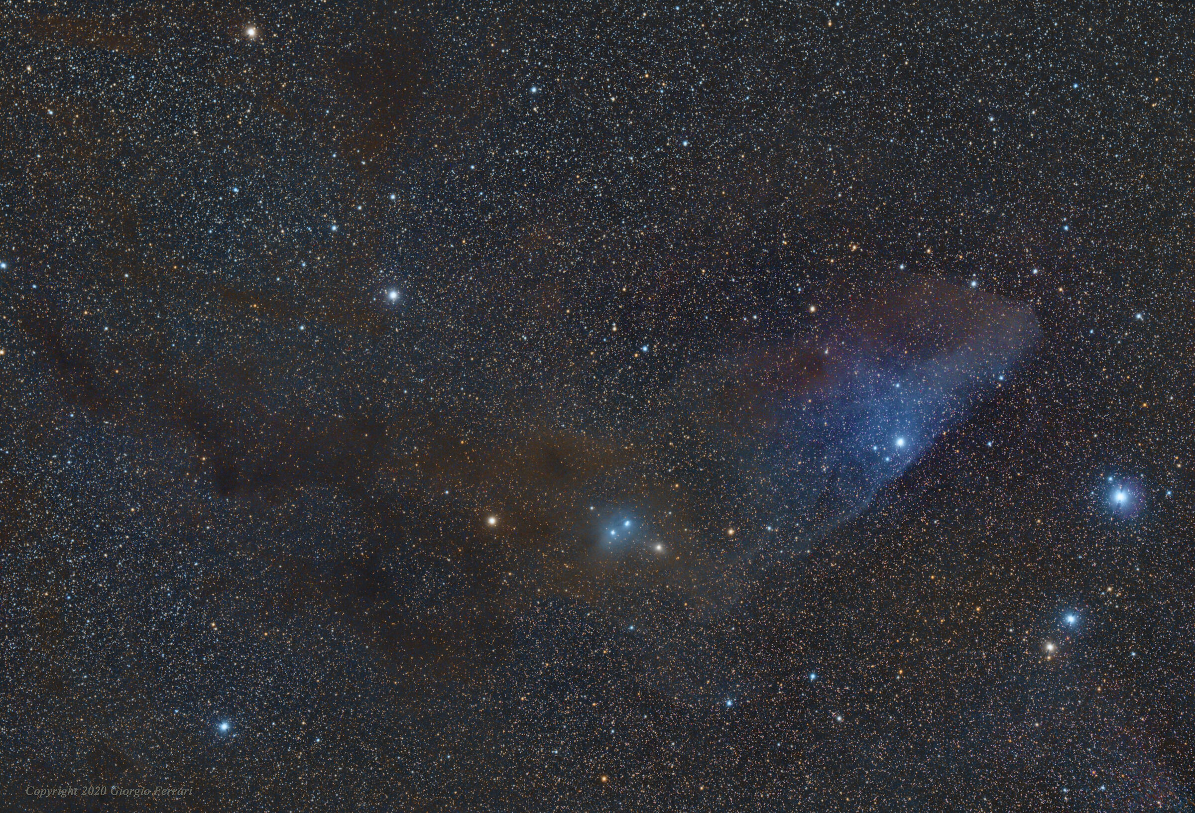 The Blue Horsehead Nebula