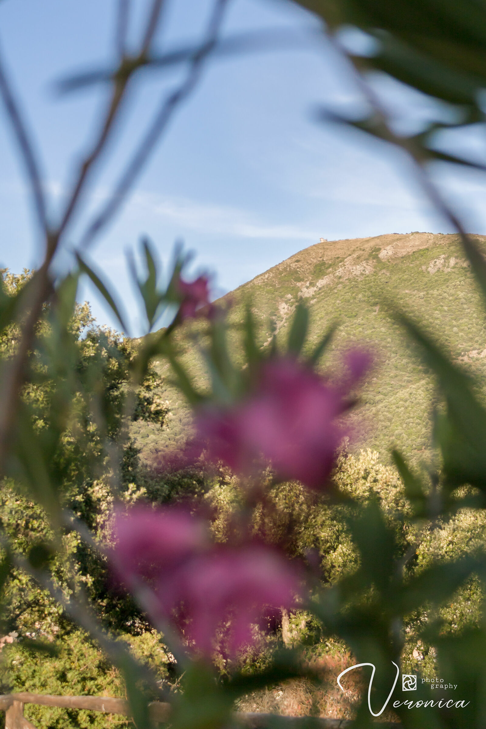 Torre Cuccuru Fenugu