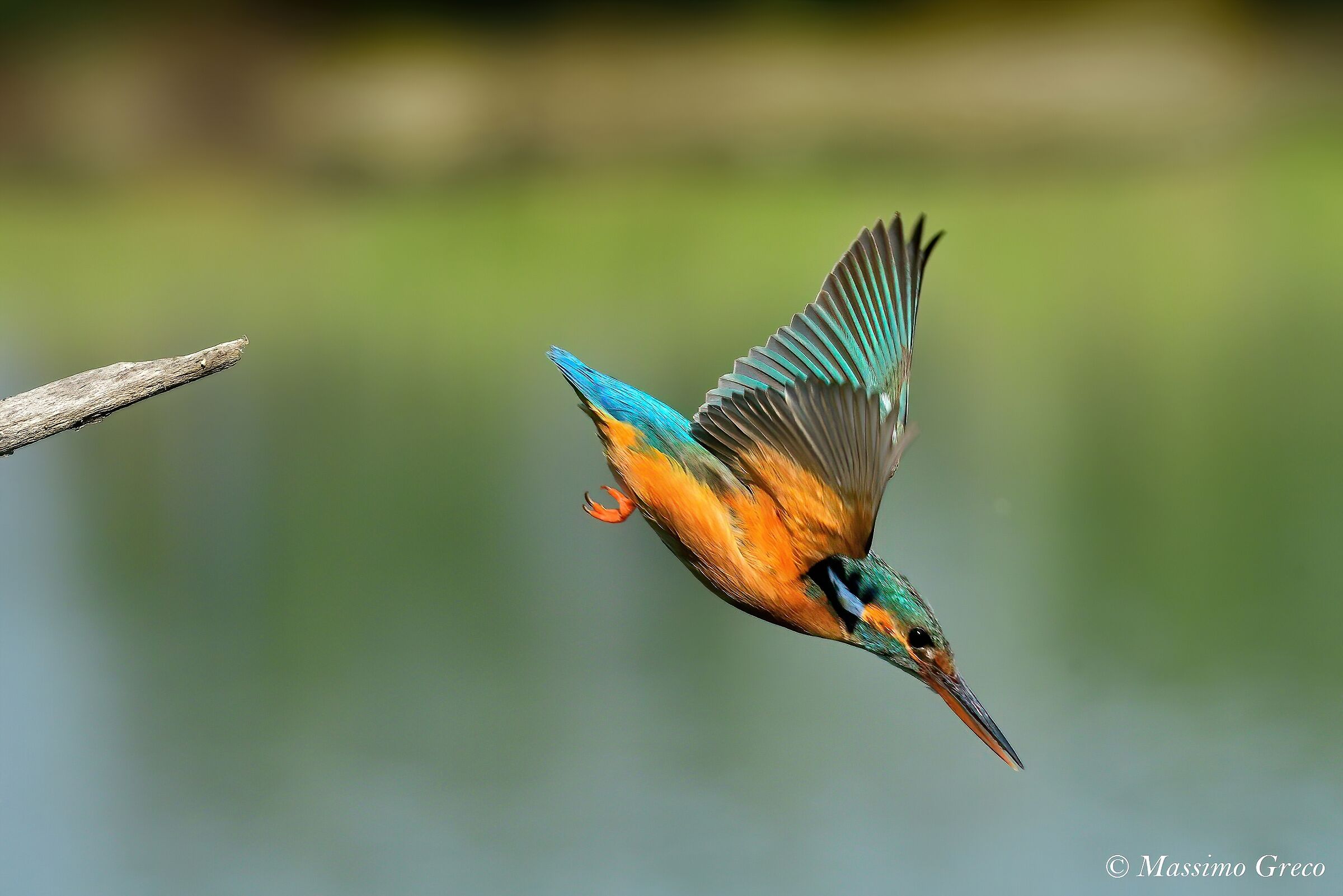 the Kingfisher's Dip