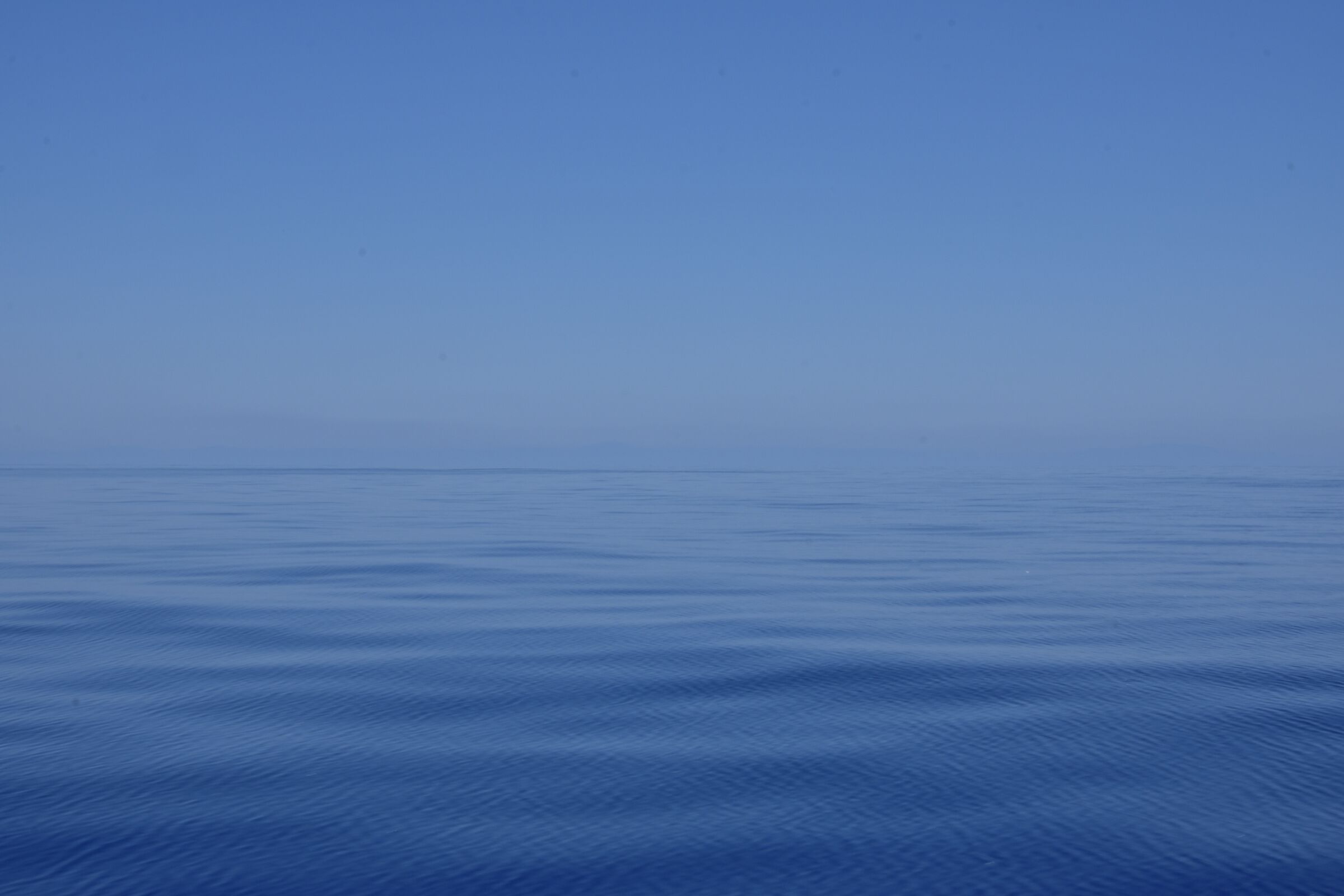 Le Bleu
