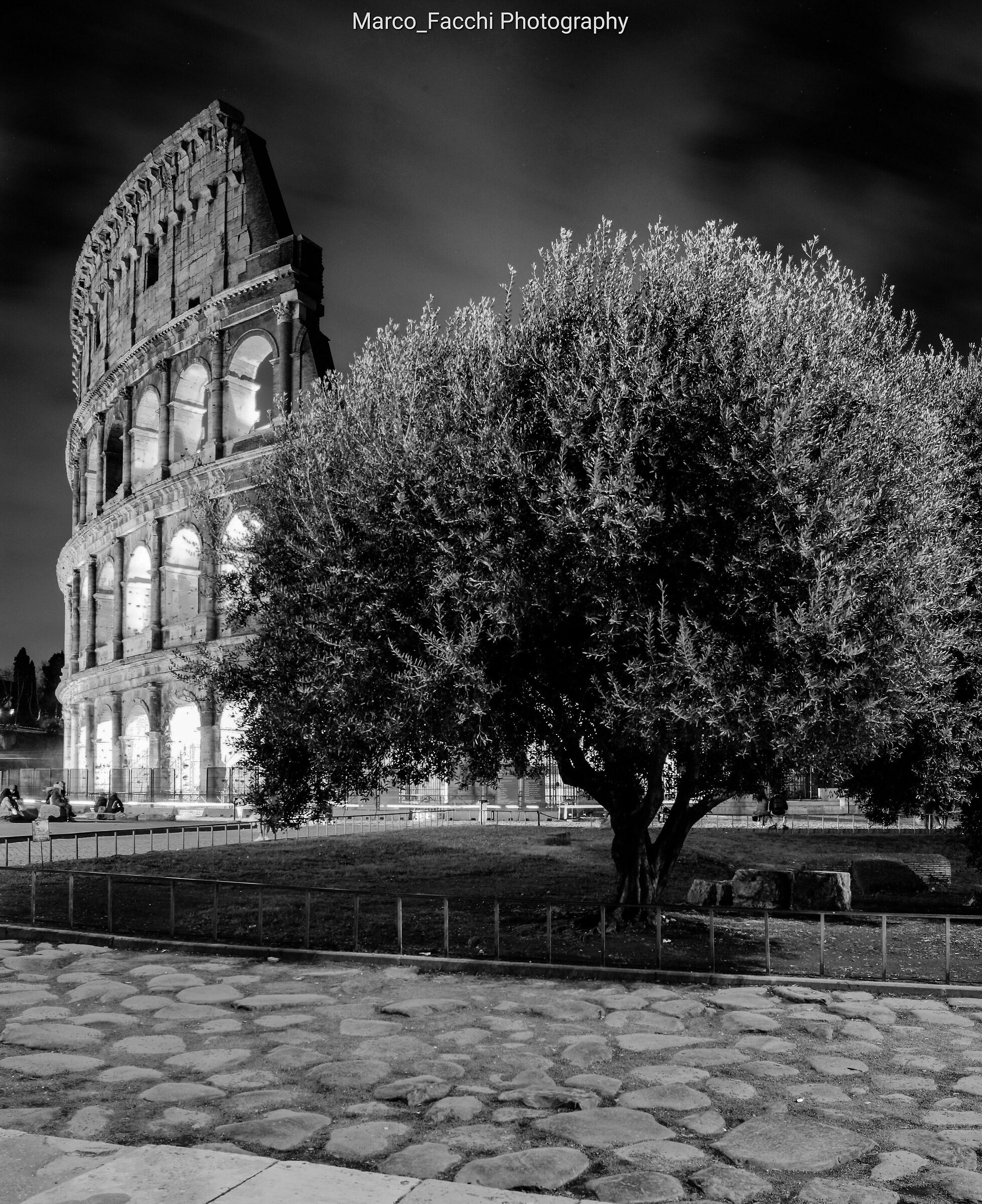 Colosseum, New Year'