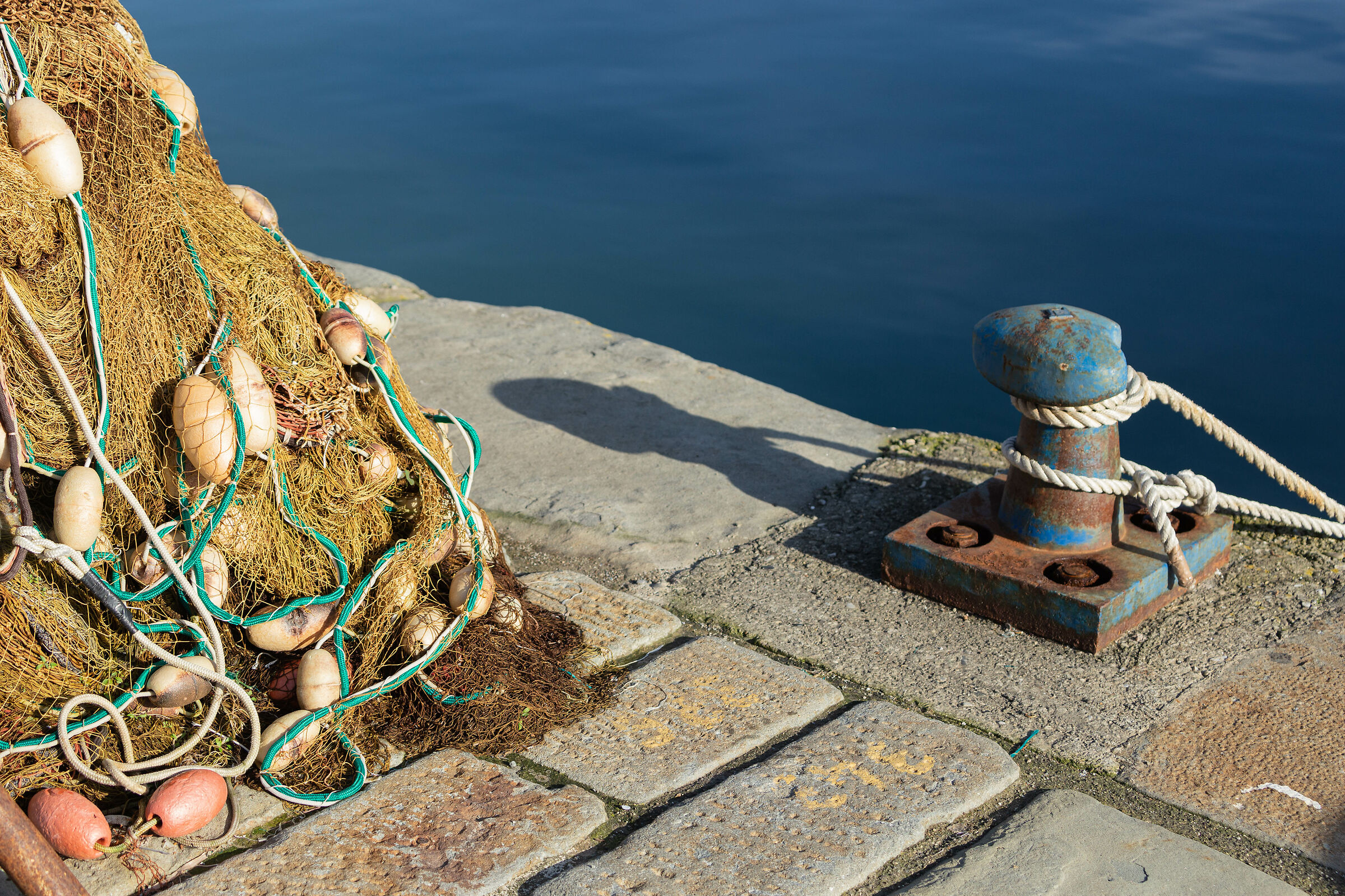 The network and docking