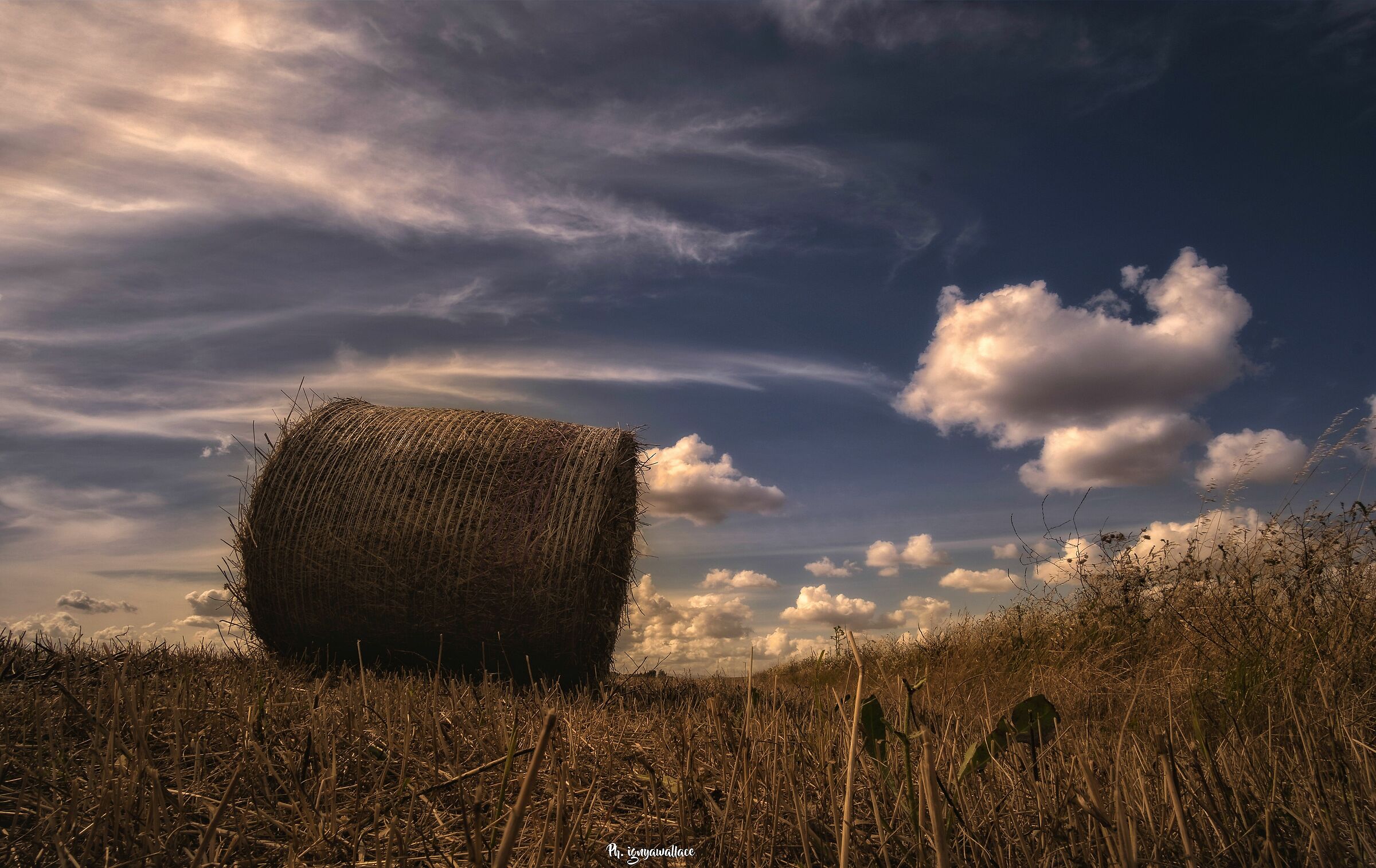 Hay bales