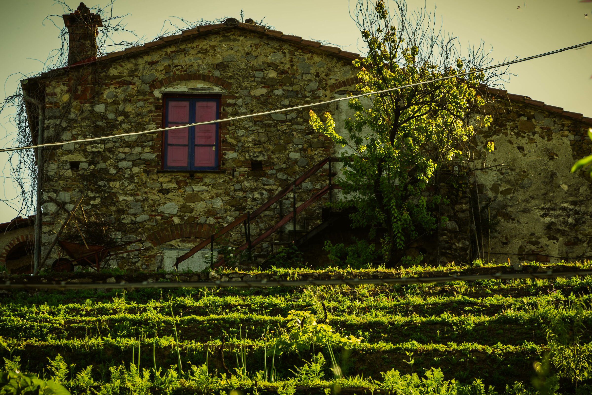 Without a thread, I wanted to have a long post...