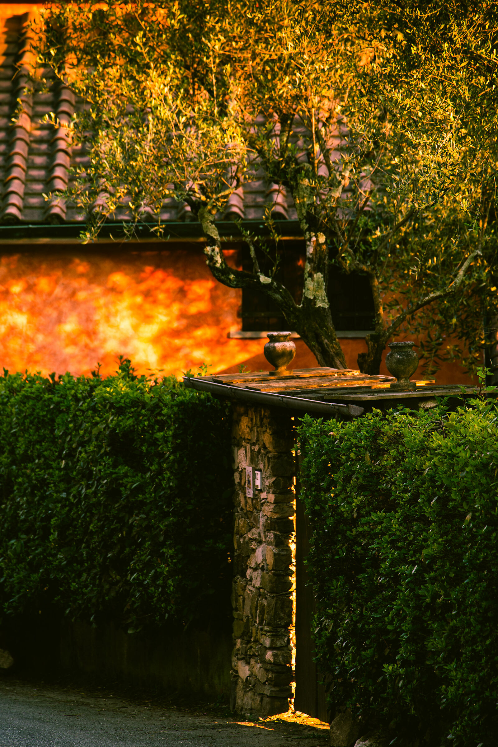 Surrounding house in lockdown 1