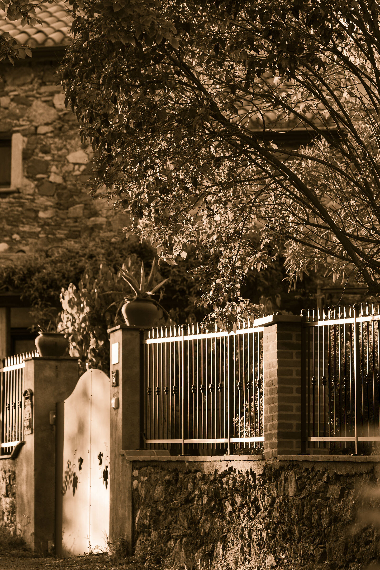 Around home in lockdown 2