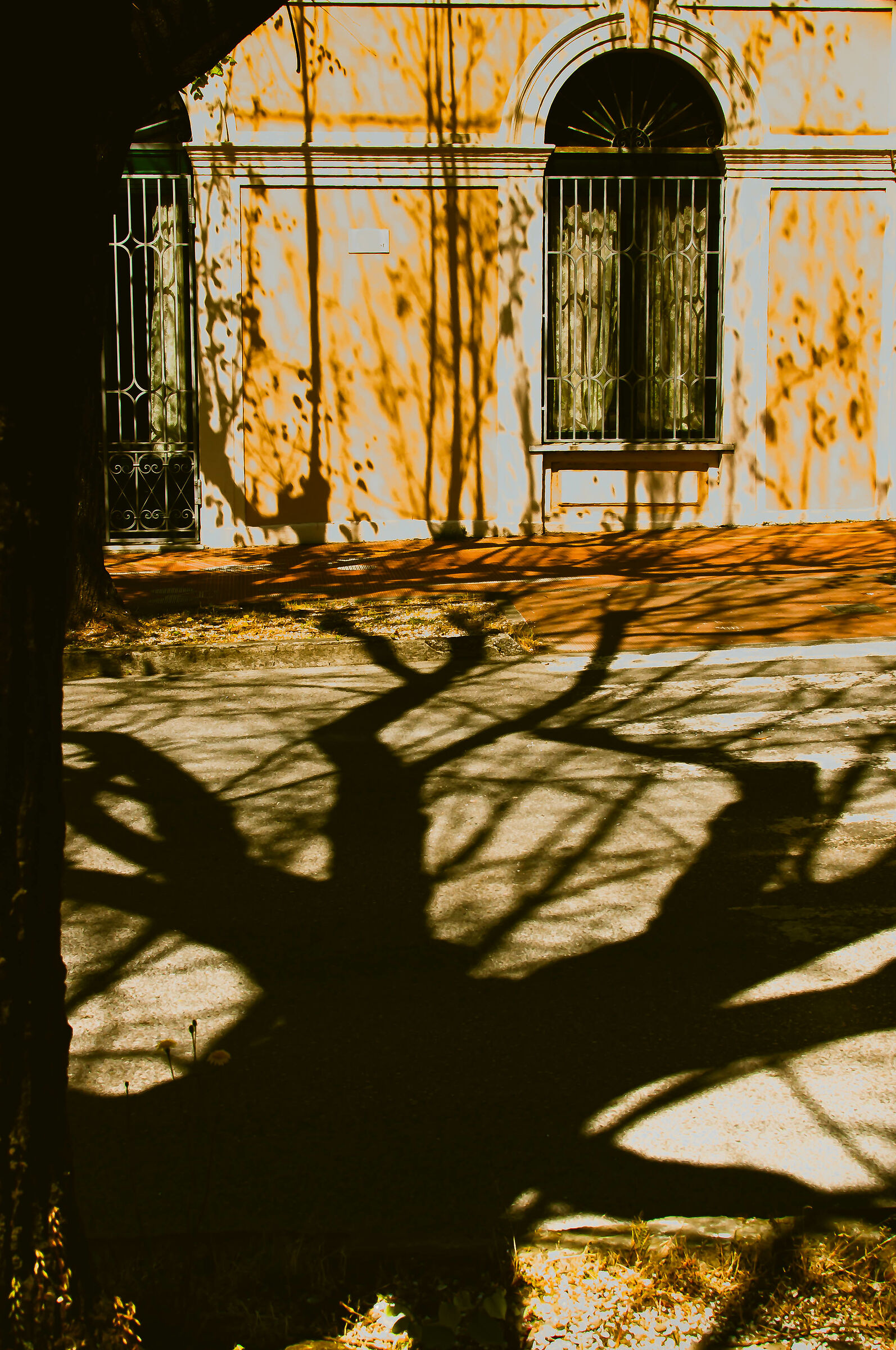 Around home in lockdown 3