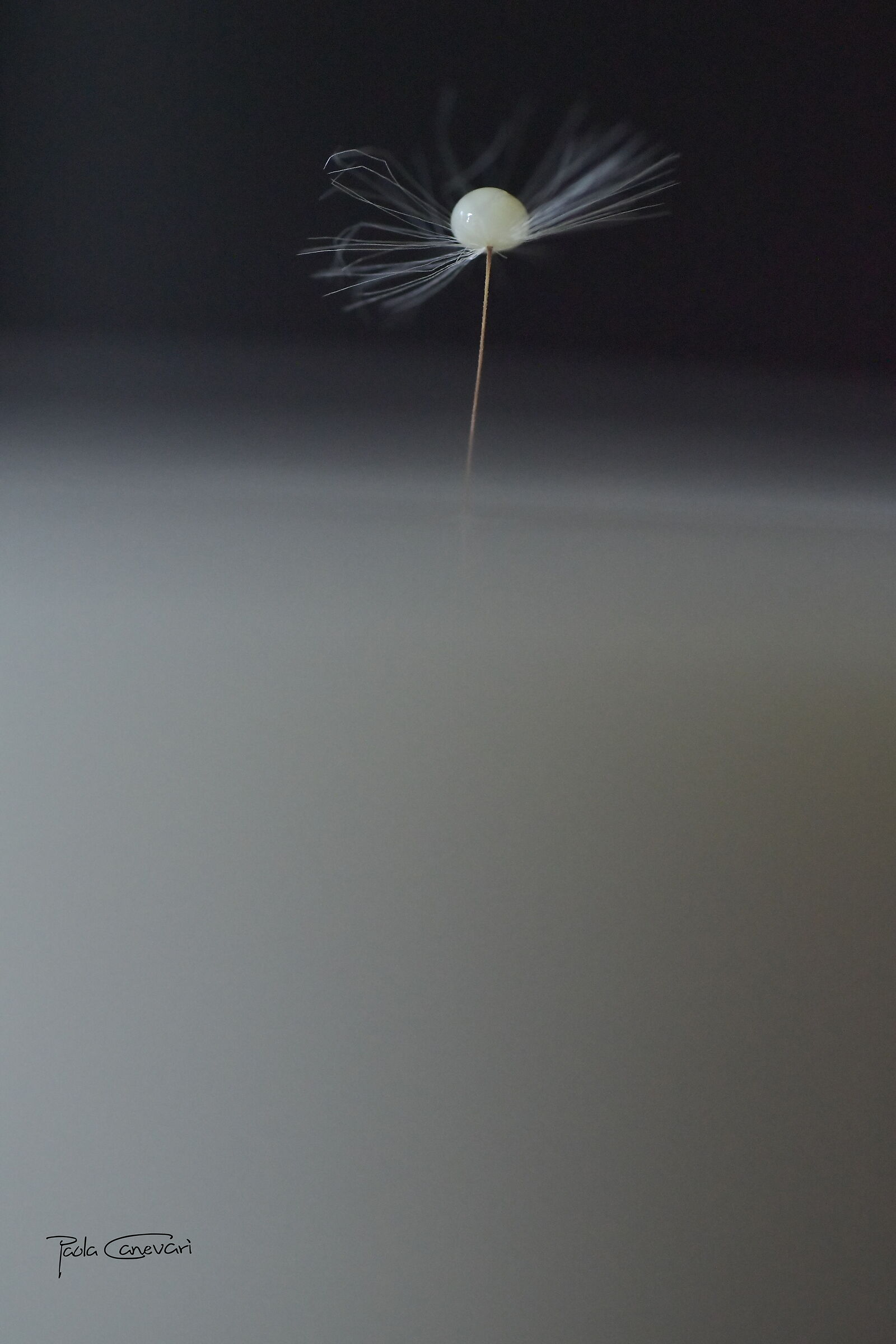 Untitled Photo