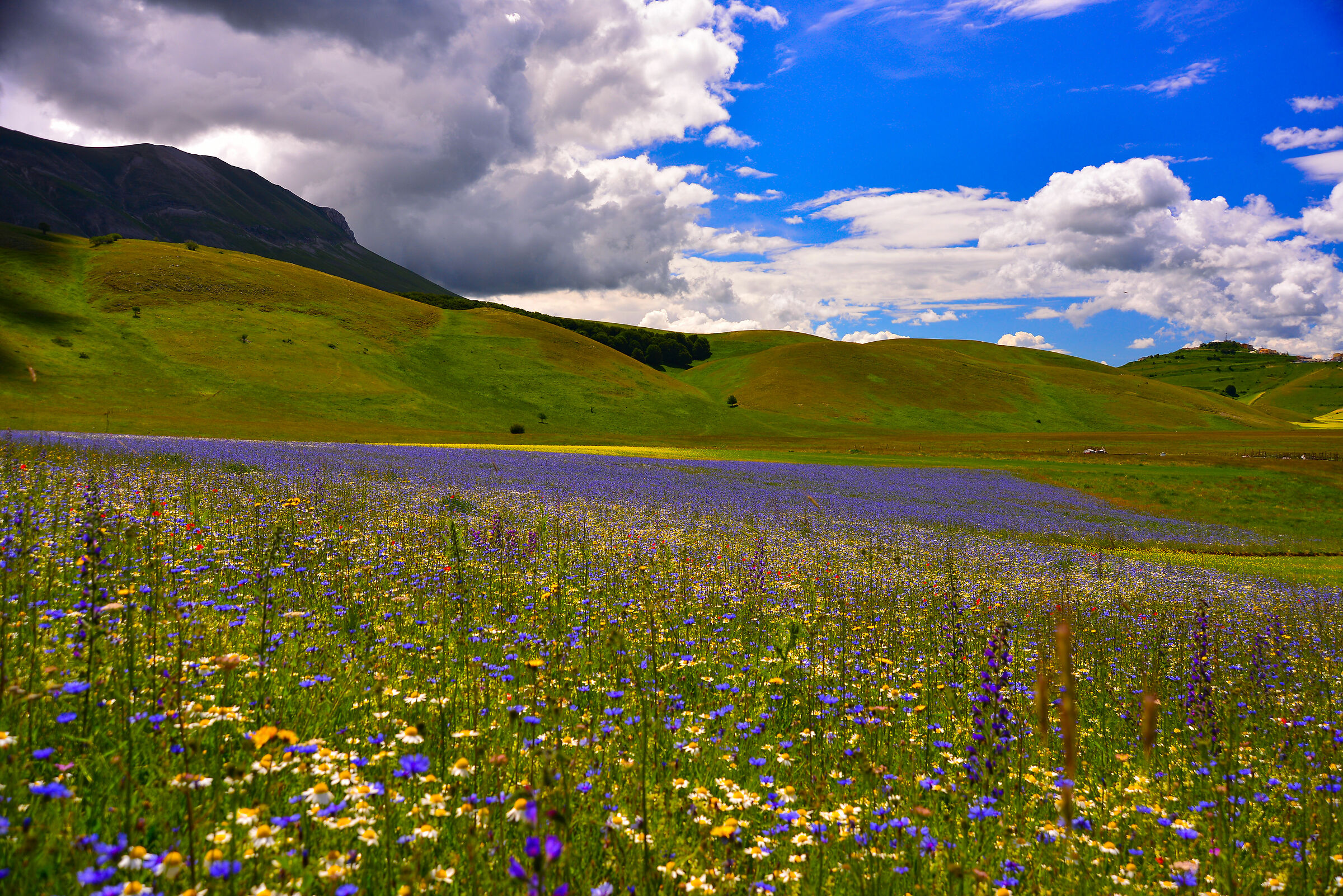 Castelluccio