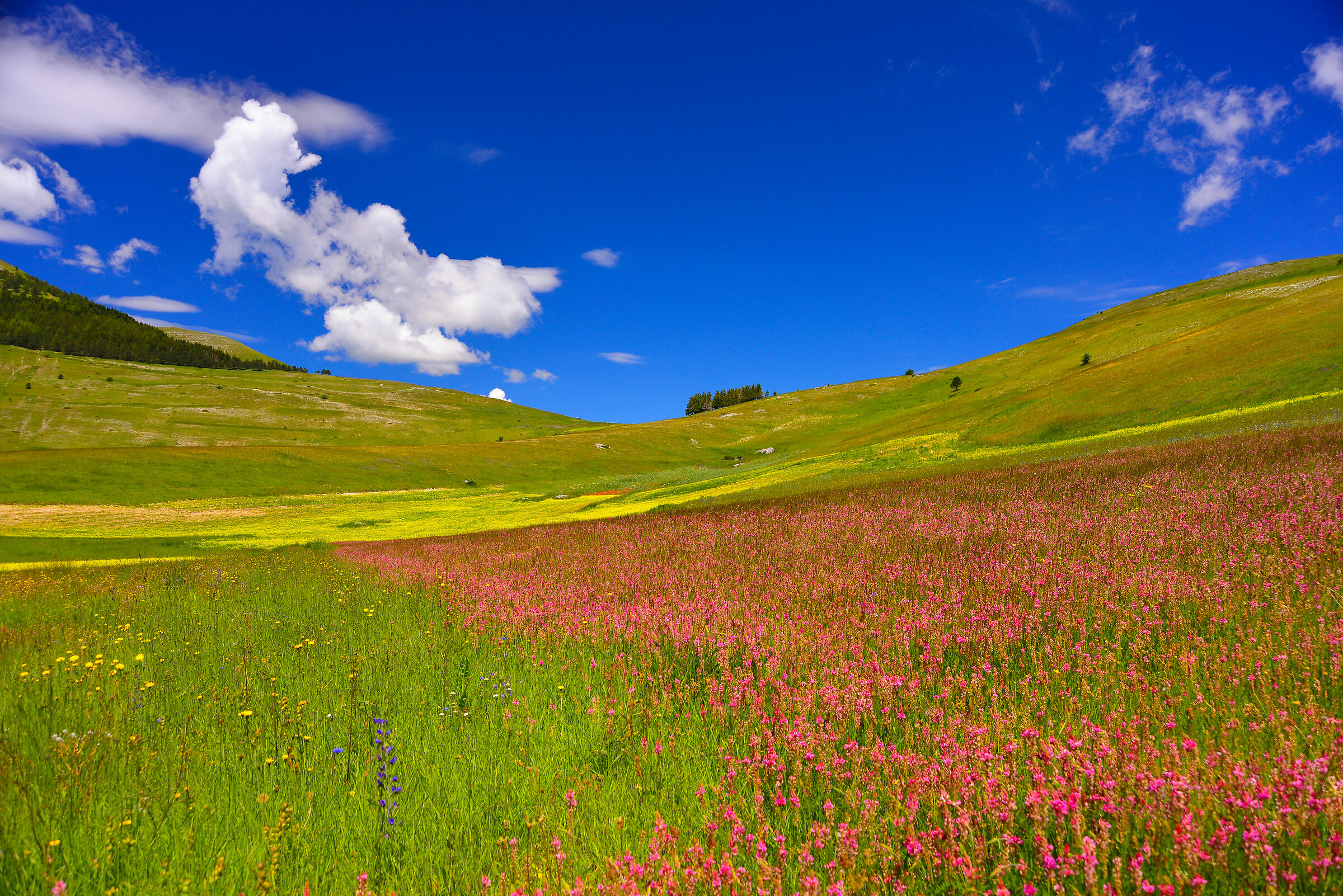 Castelluccio