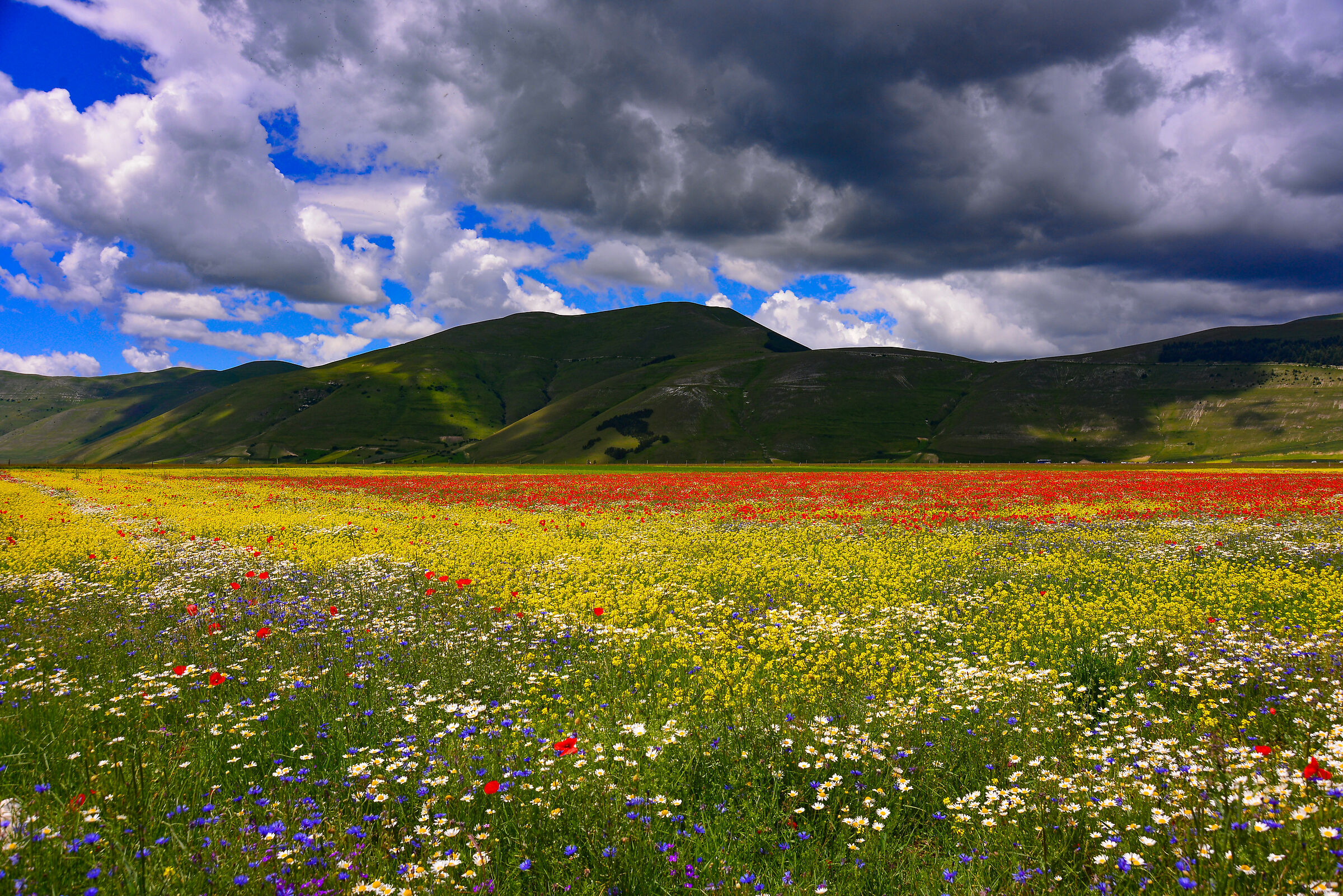 castelluccio