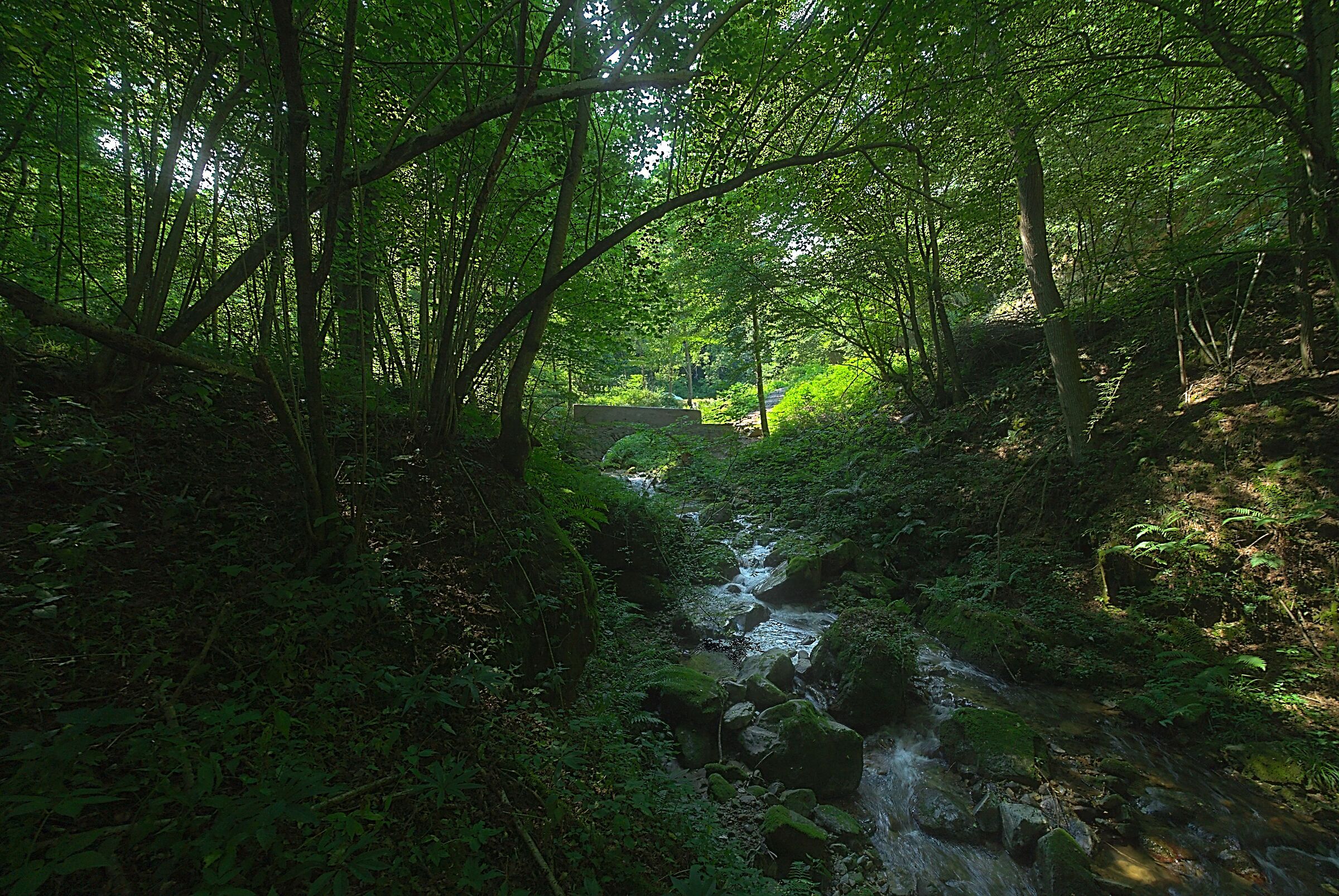 A Rio Developed with Darktable and Glimpse