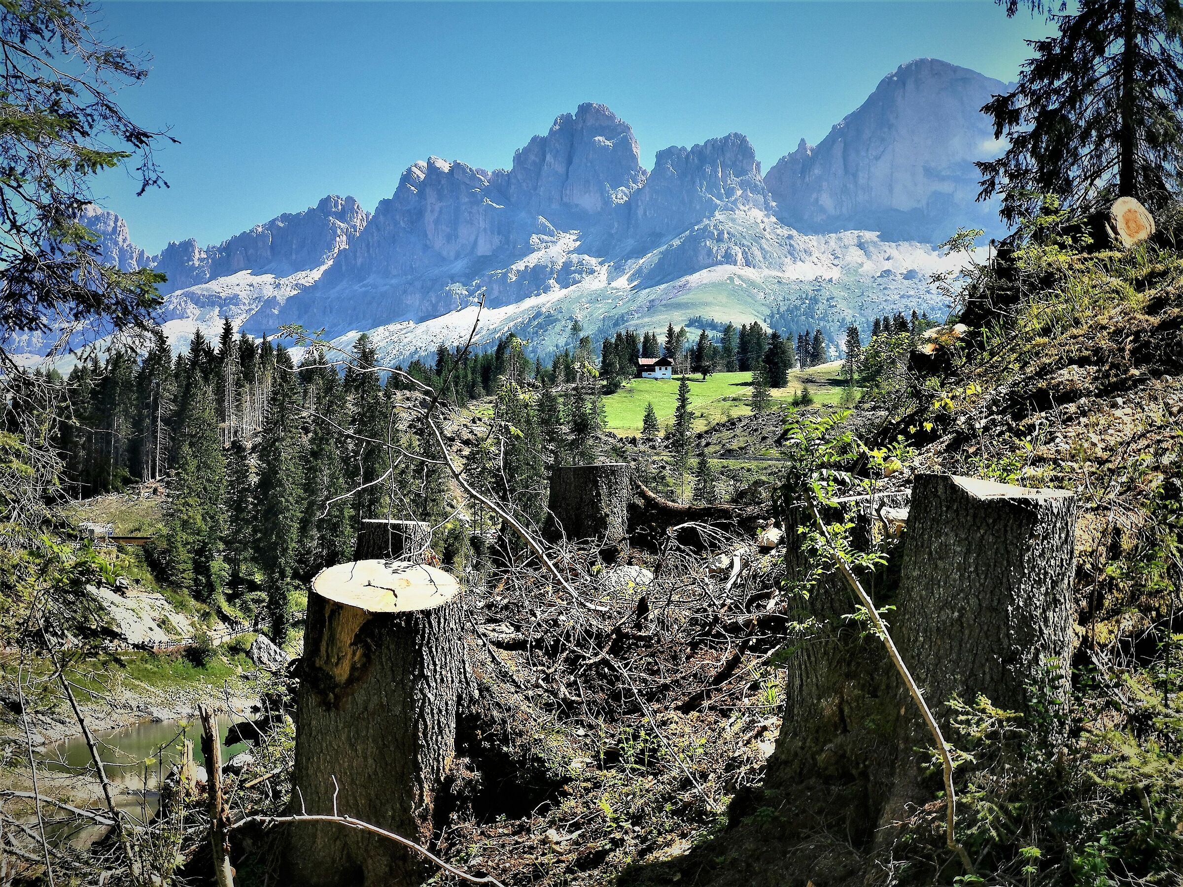 Una testimonianza del disastro a Carezza.