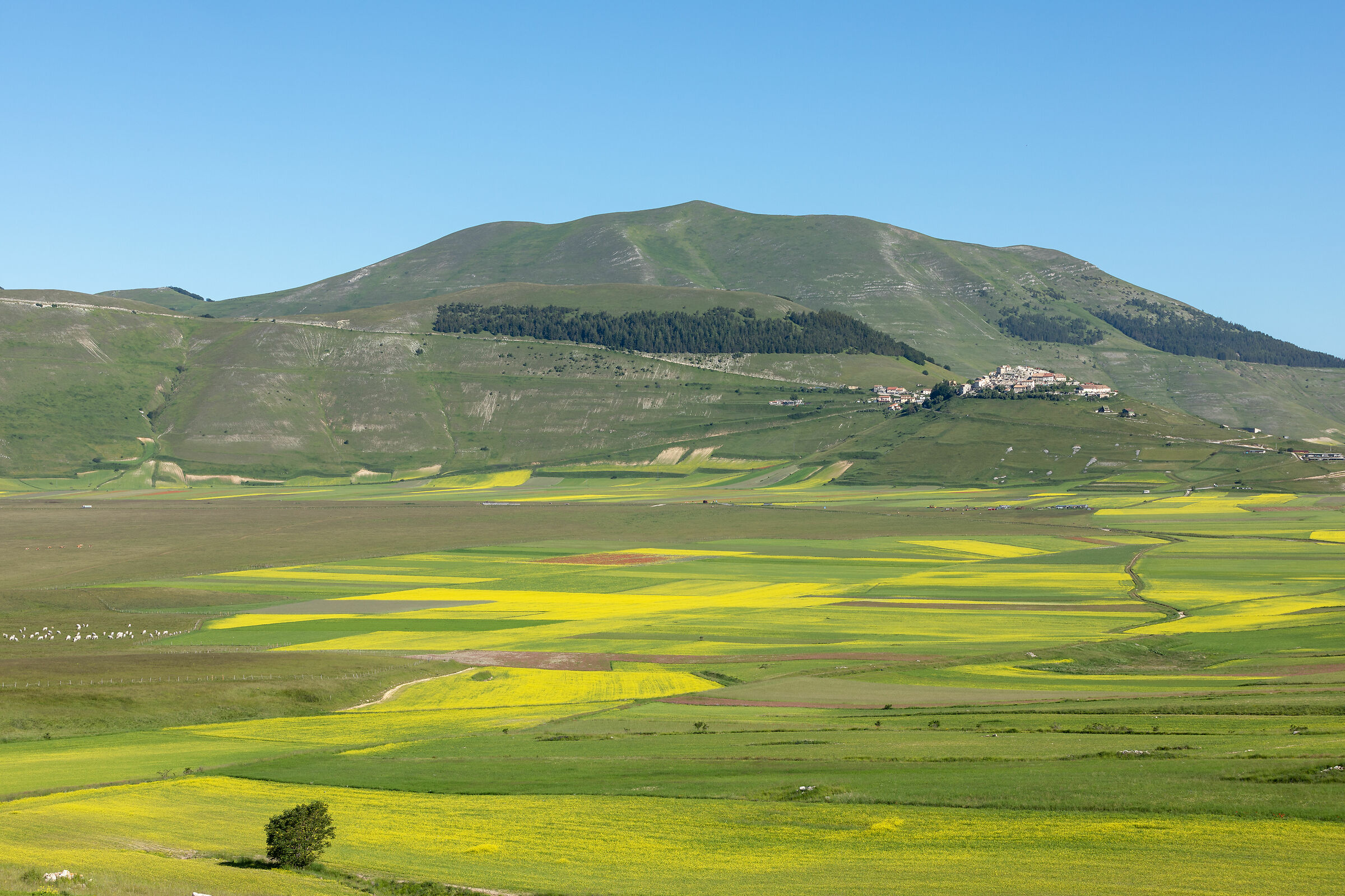 Castelluccio