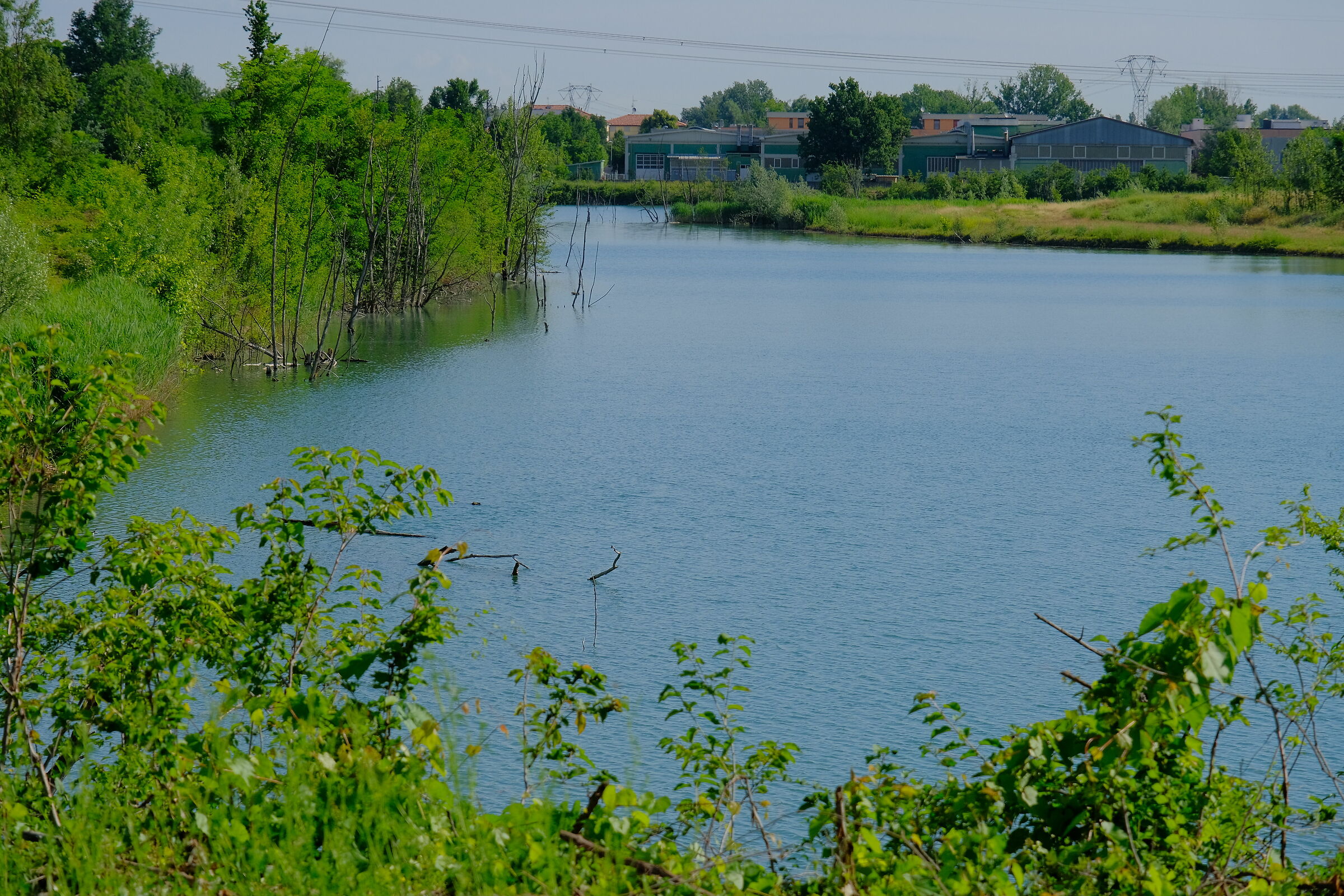 Il laghetto di Stradello Massa - San Damaso