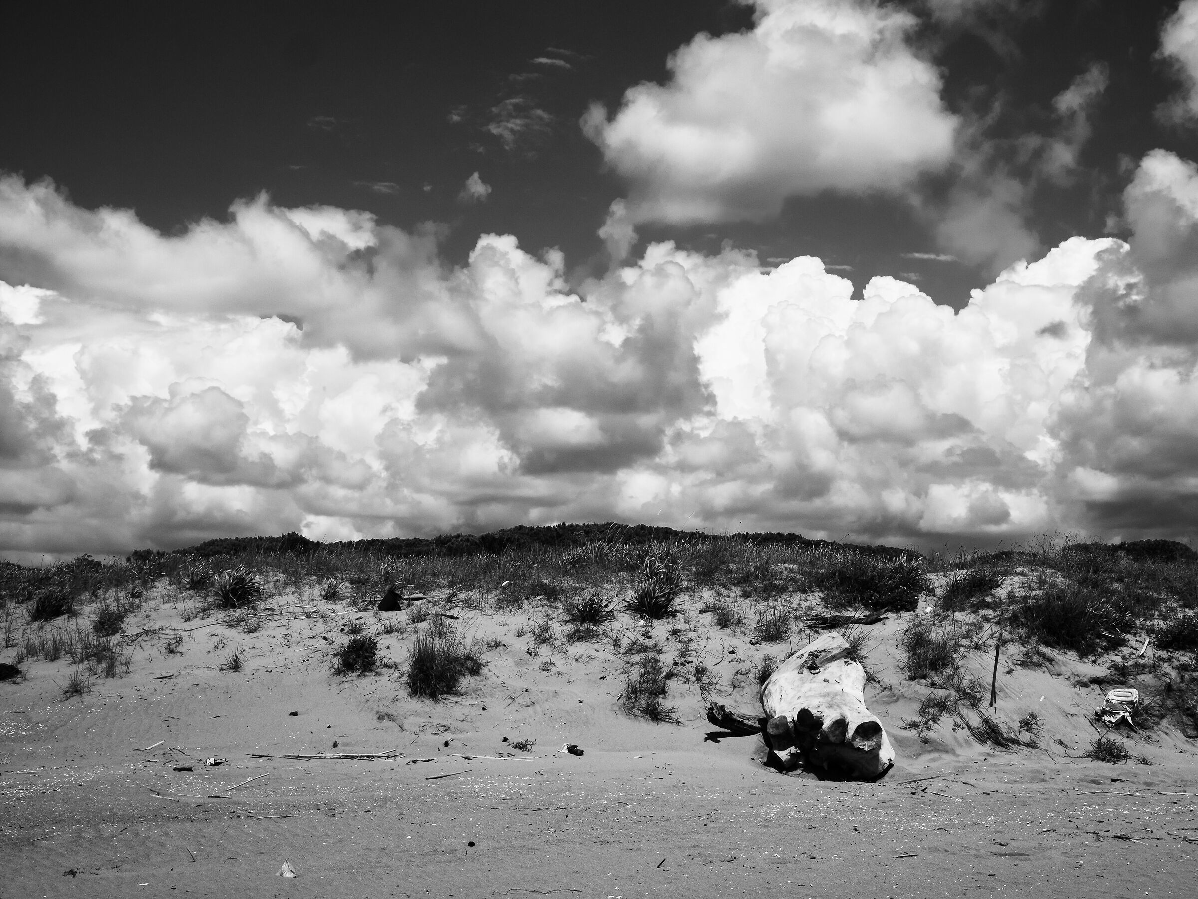 deserto? No Baia Felix